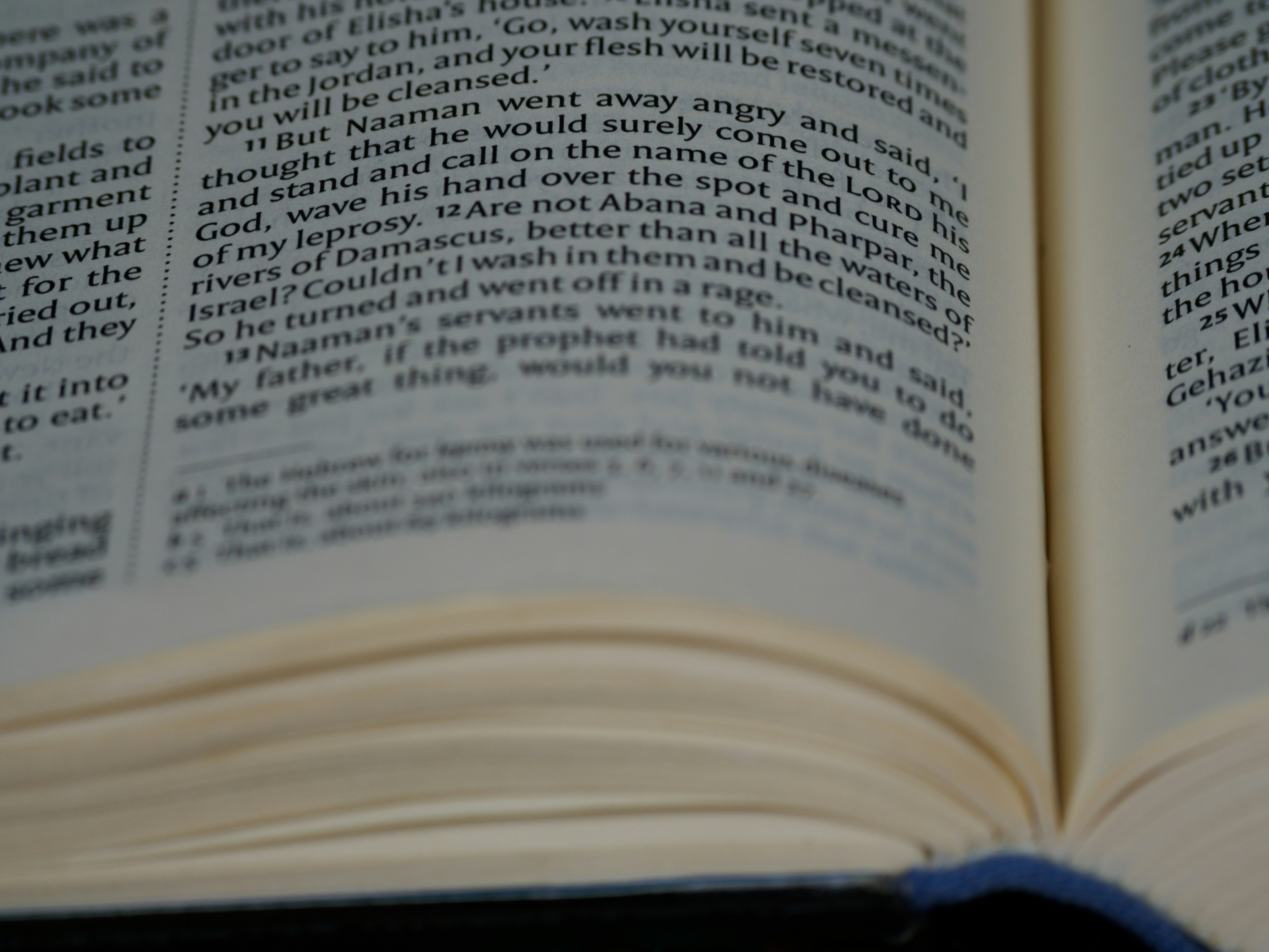 Photo by brett_jordan