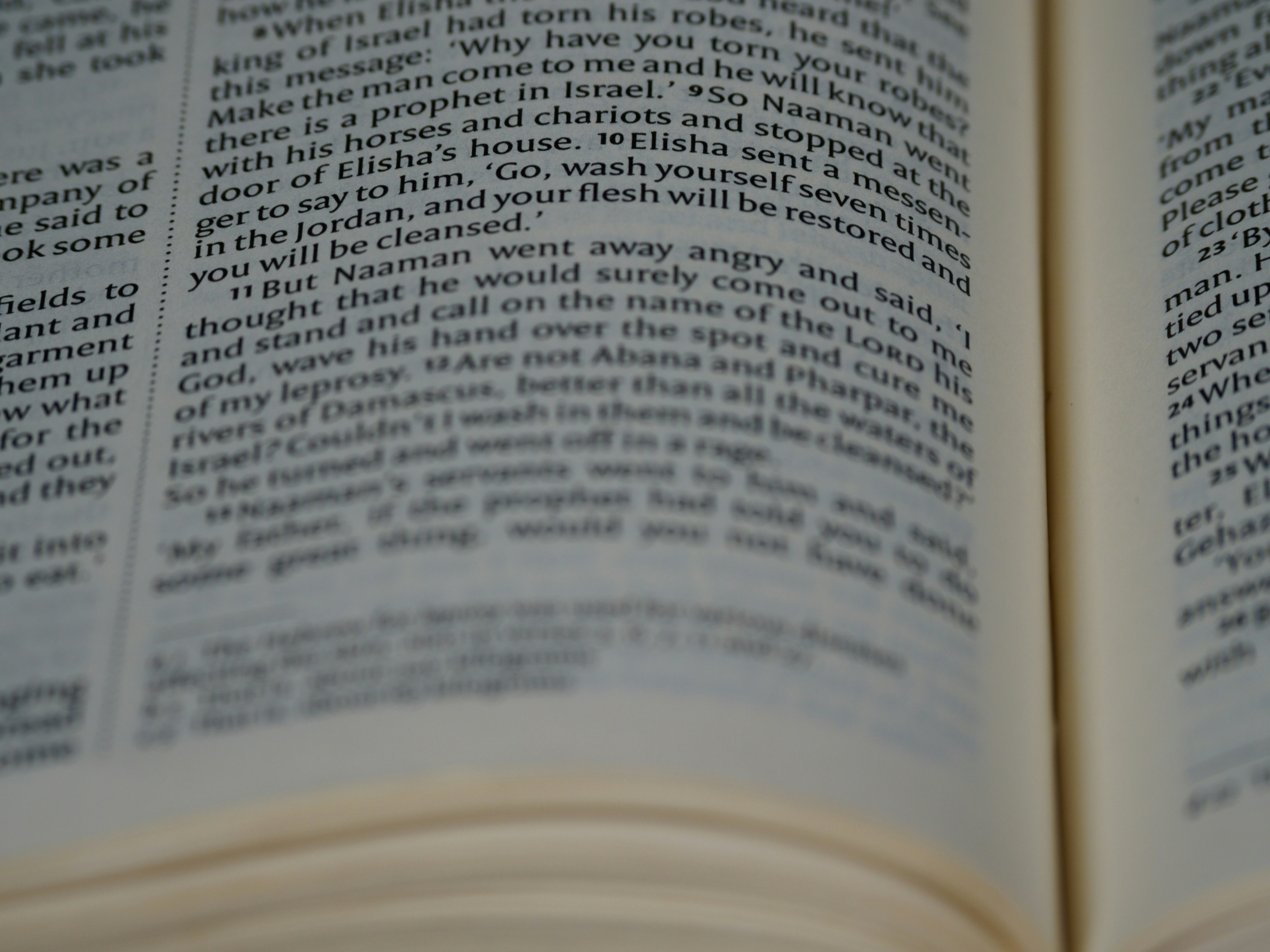 Photo by brett_jordan