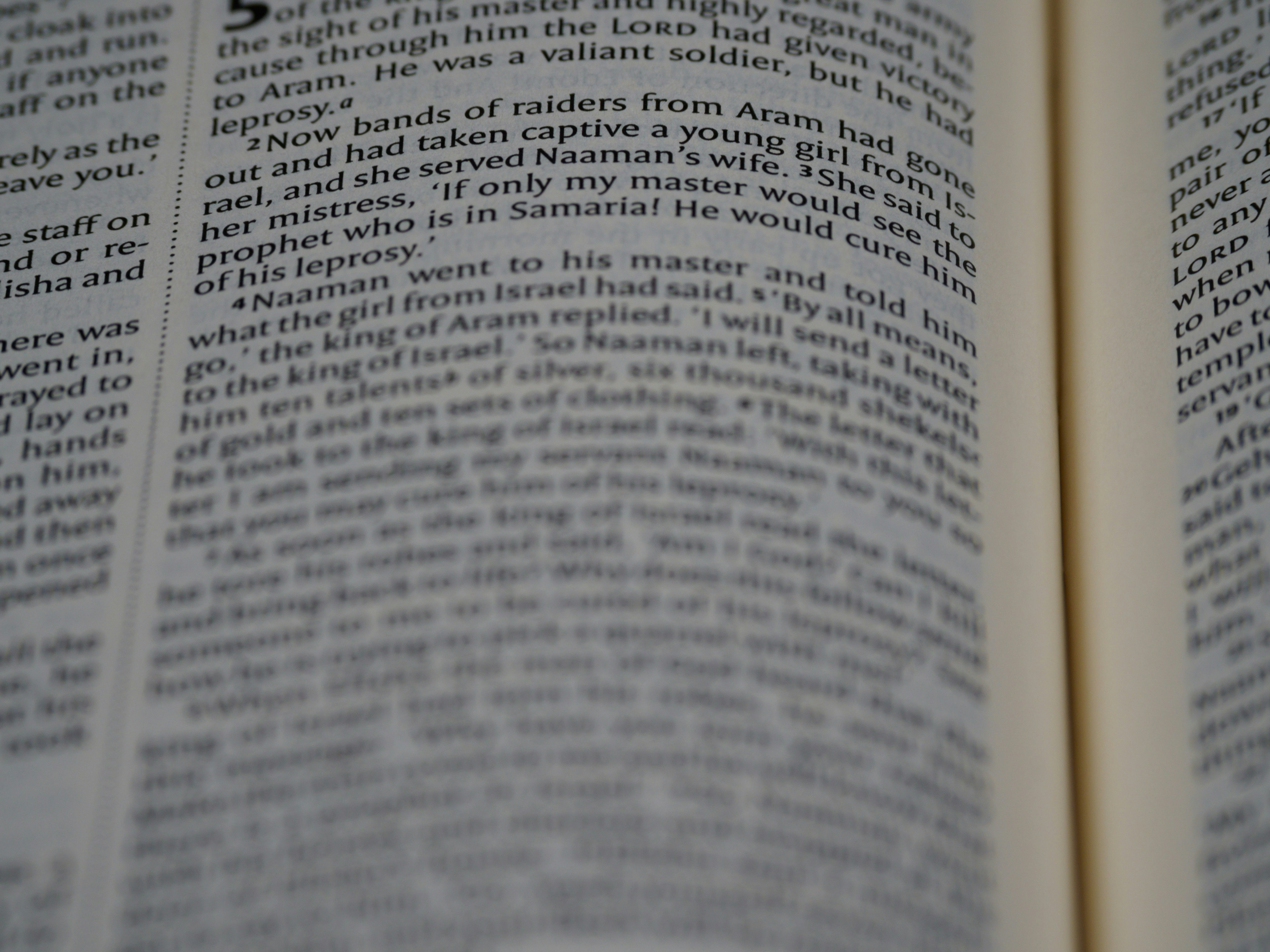 Photo by brett_jordan