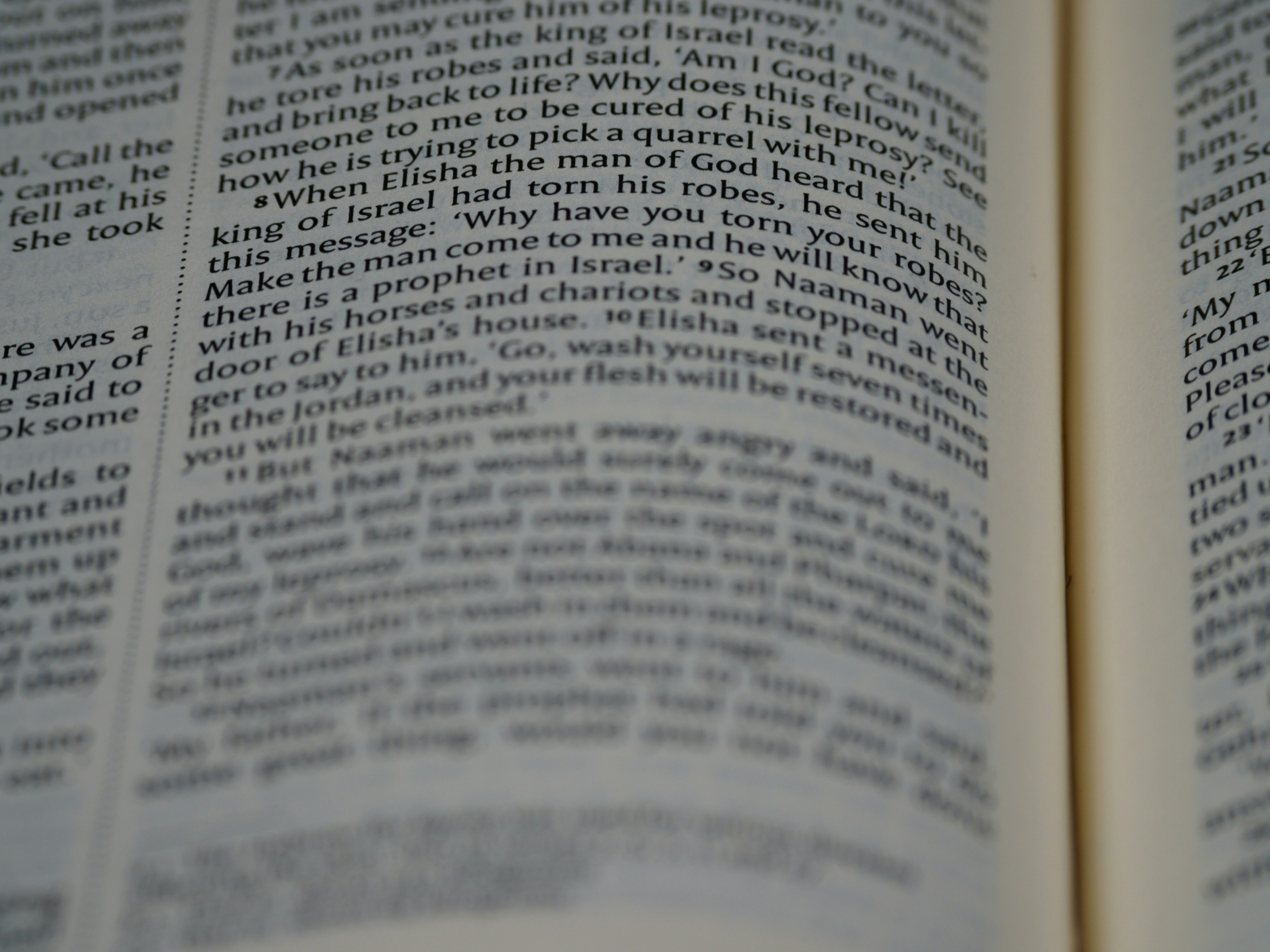 Photo by brett_jordan