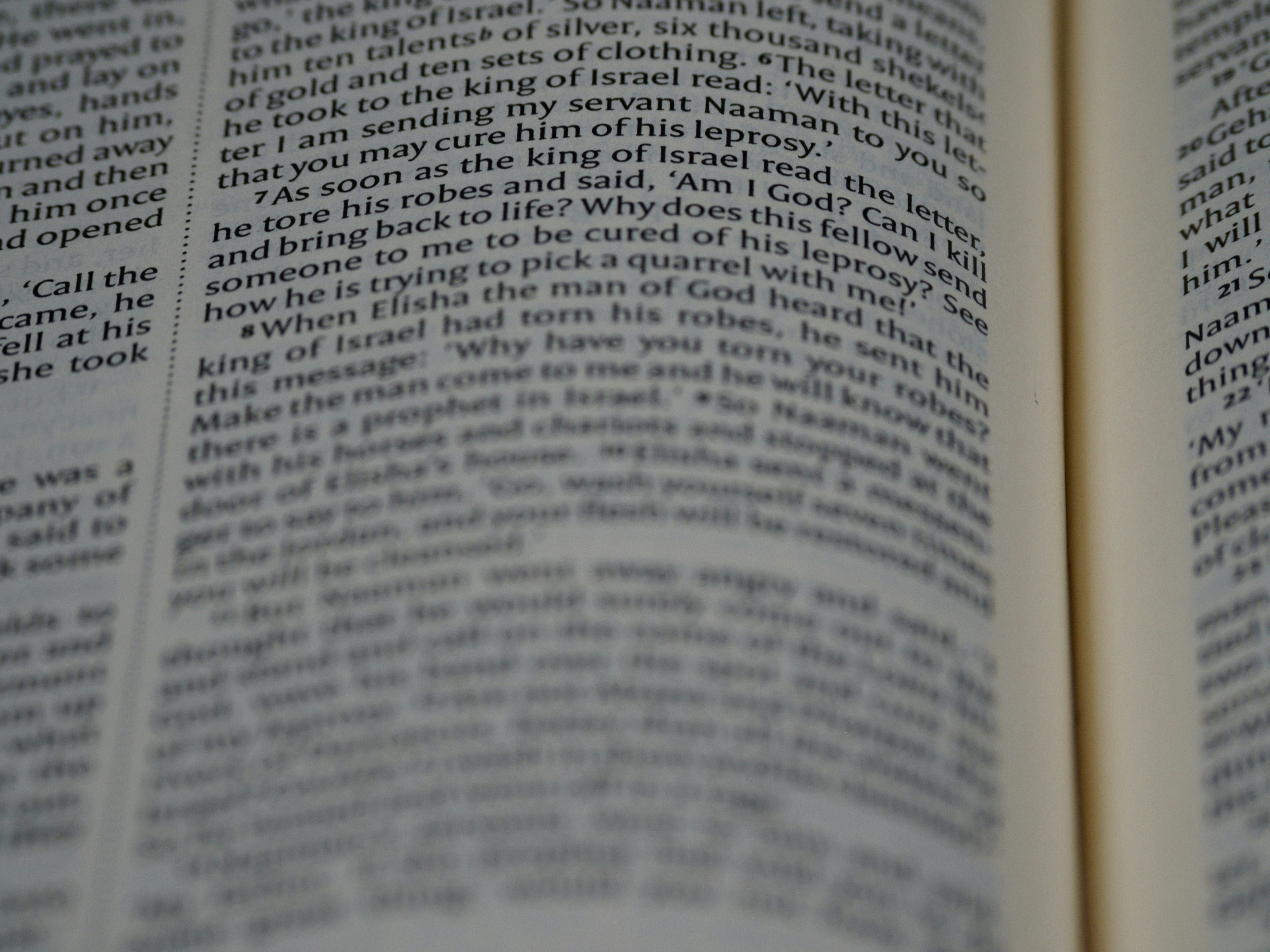 Photo by brett_jordan