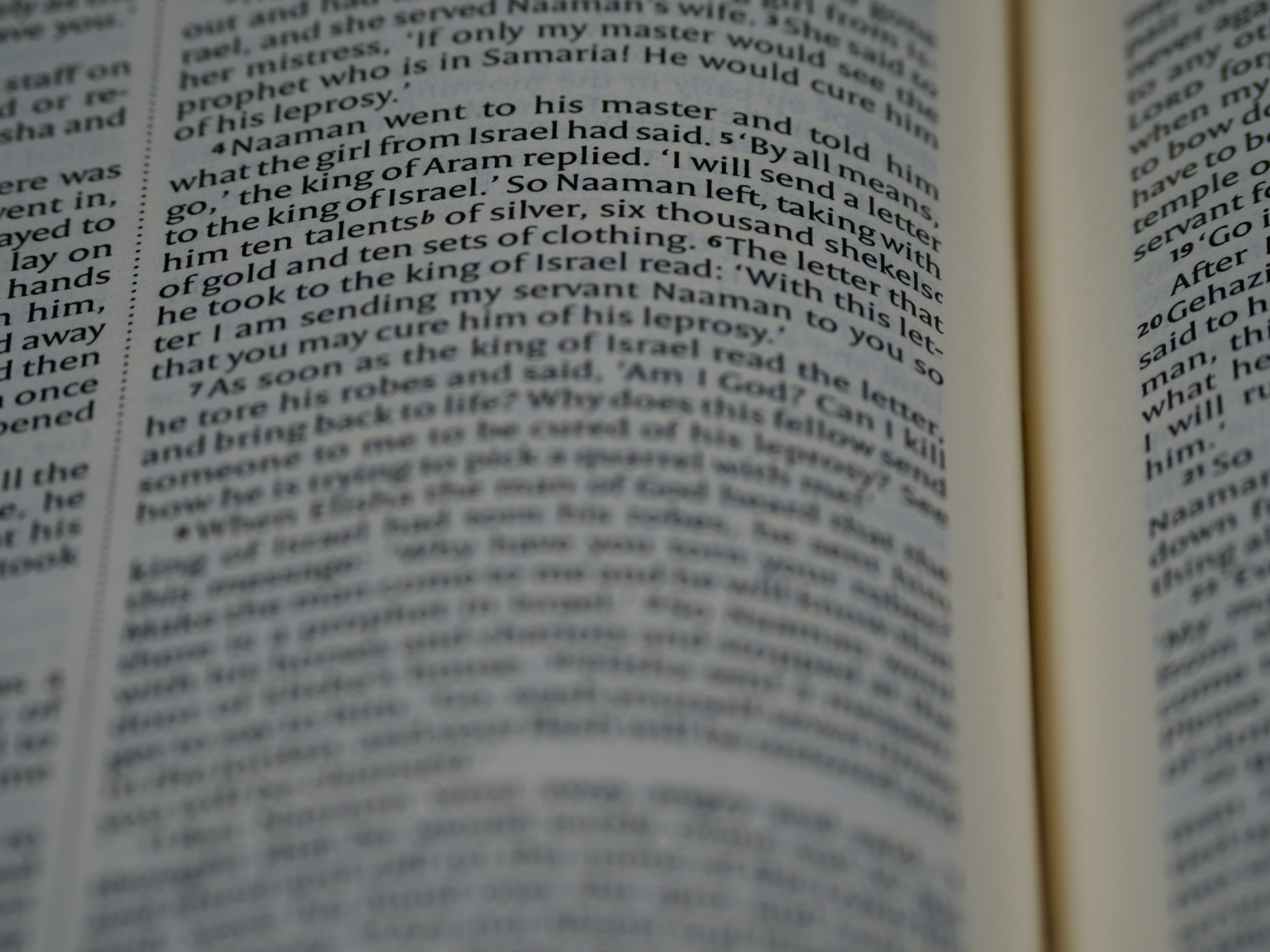 Photo by brett_jordan