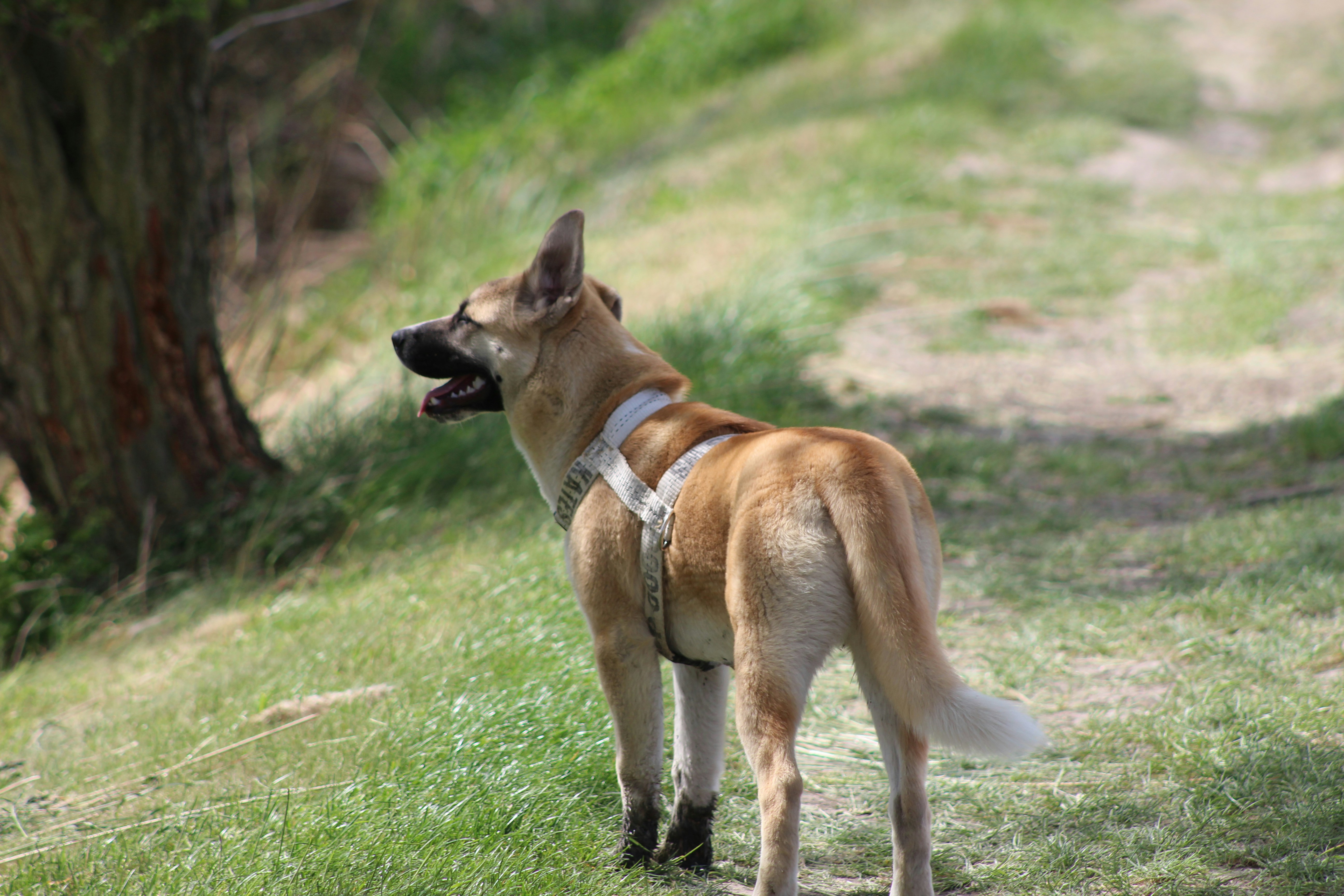 Photo by marjorylucabaxter