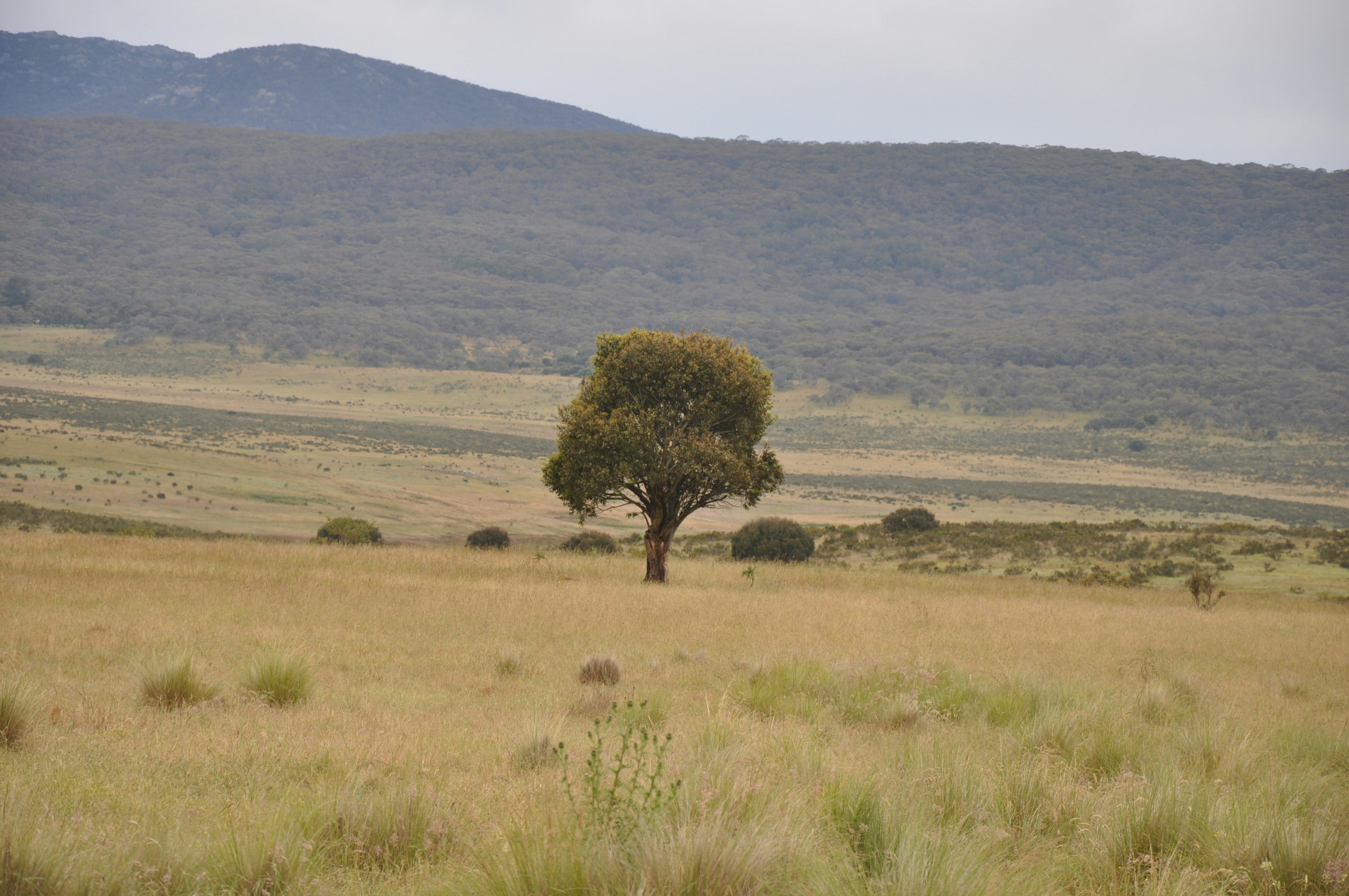 Photo by slushshoots