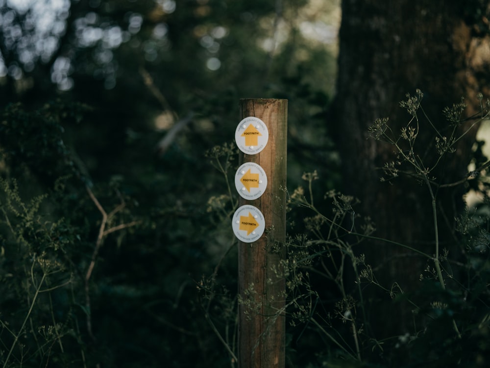 brown wooden cross with white light