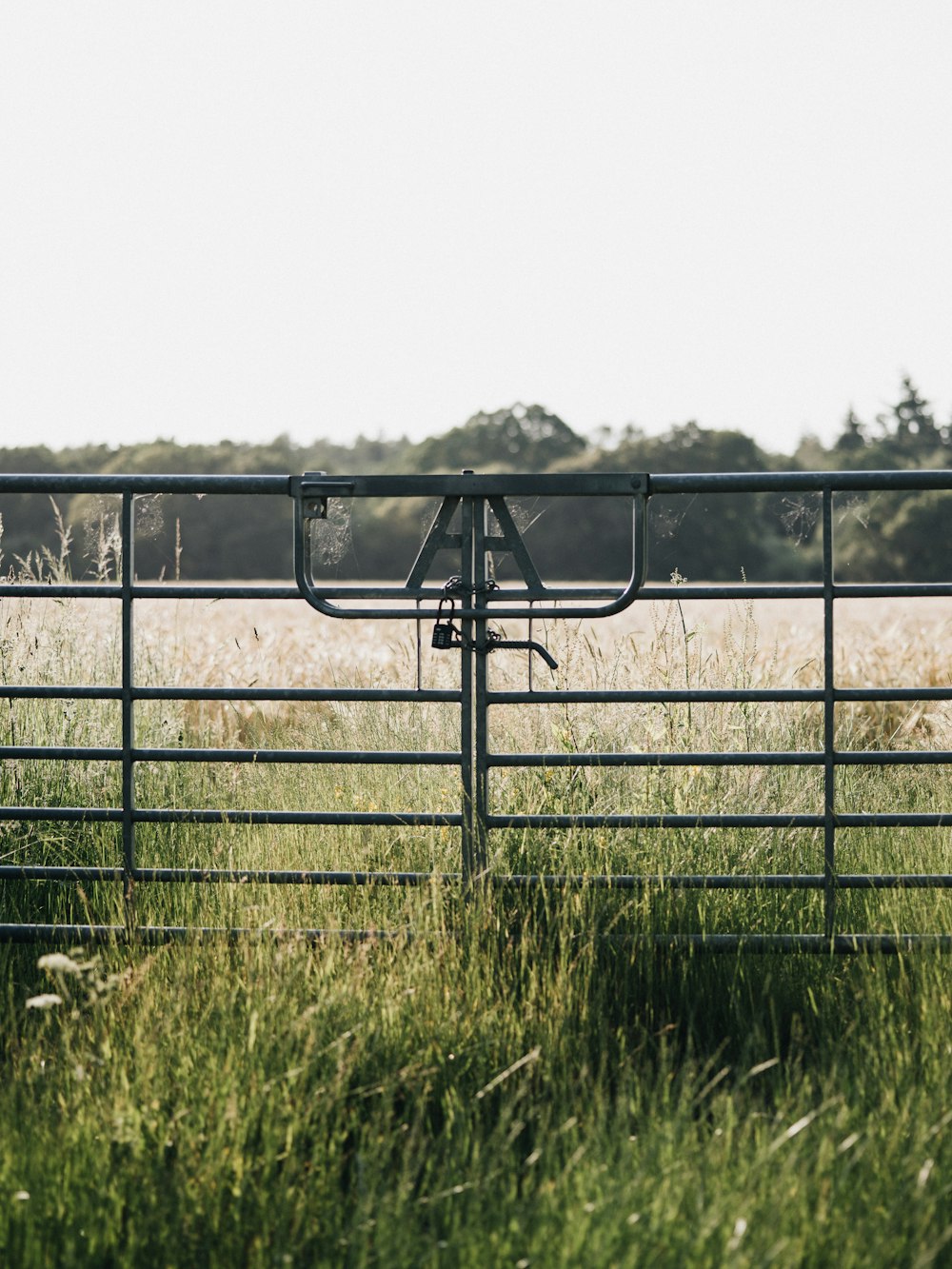 black metal fence on green grass field during daytime