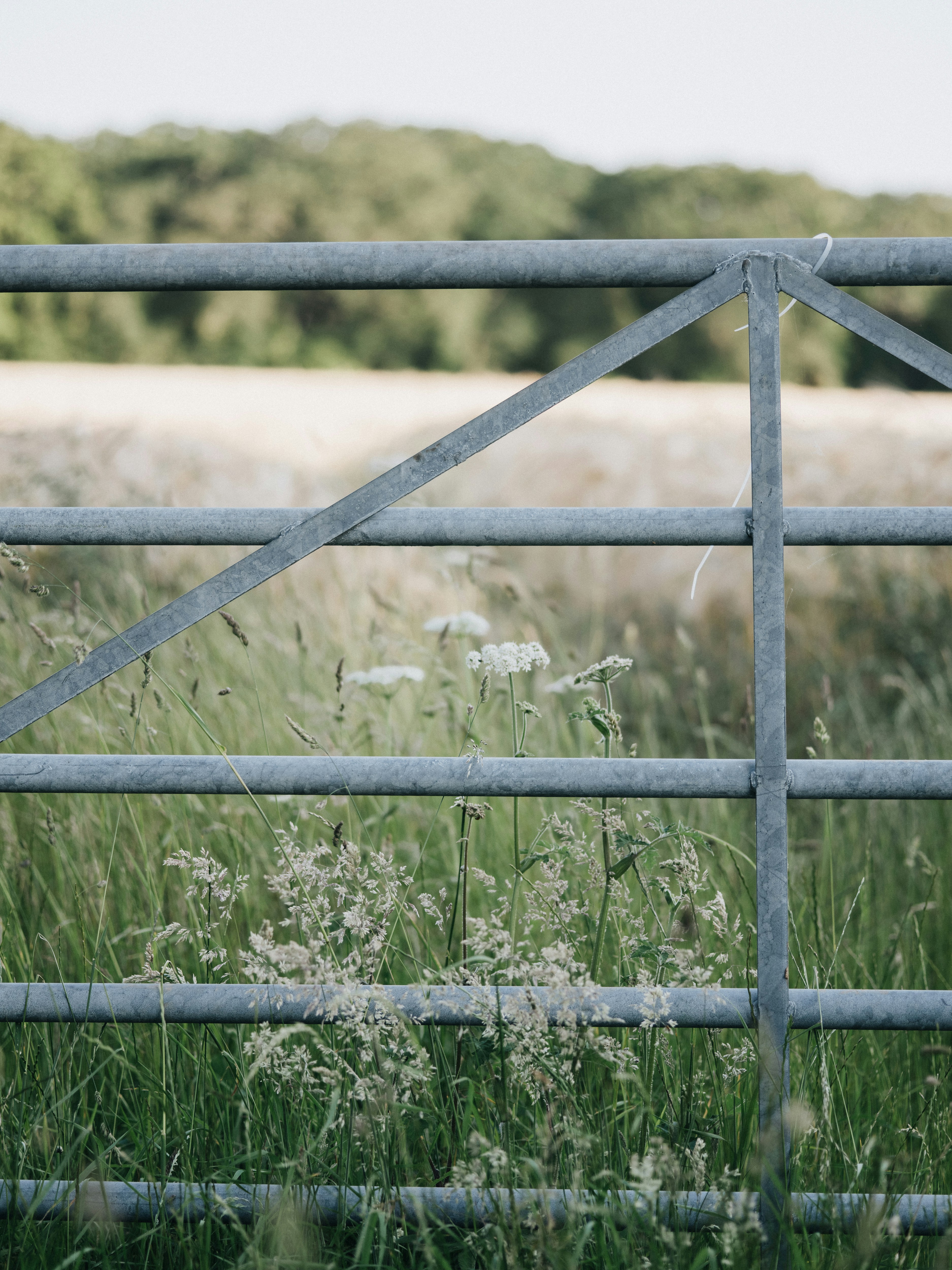 Photo by anniespratt