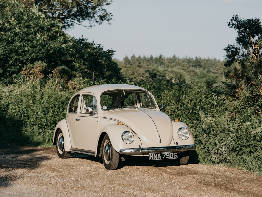 white volkswagen beetle on dirt road during daytime