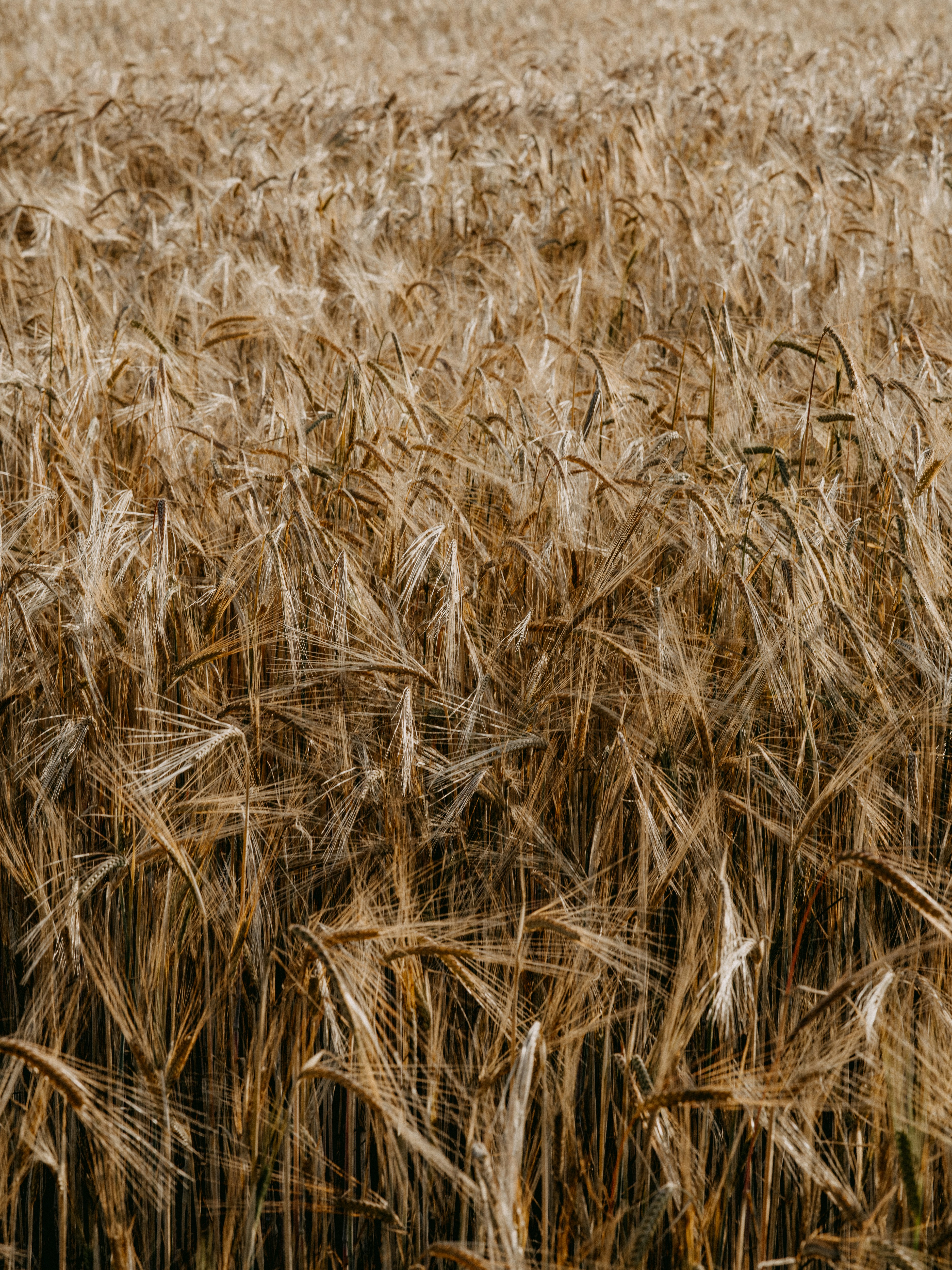 Photo by anniespratt