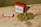 A red tin labeled 'Dad Grass' is positioned on a wooden surface alongside a rectangular box with similar branding. A pile of green, dried hemp or marijuana flower sits nearby, and a small brown packet labeled for humidity control is included.