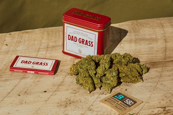 A red tin labeled 'Dad Grass' is positioned on a wooden surface alongside a rectangular box with similar branding. A pile of green, dried hemp or marijuana flower sits nearby, and a small brown packet labeled for humidity control is included.