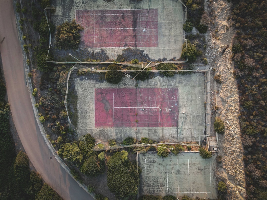 aerial view of green trees and plants