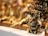 A small, intricately detailed brass figure of a deity with an elephant head, seated with one knee up and holding objects in its hands. The background features a soft focus with circular bokeh lights, giving a warm and luminous ambiance.