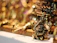 Close-up of a beautifully crafted brass pooja item glowing softly in warm light.