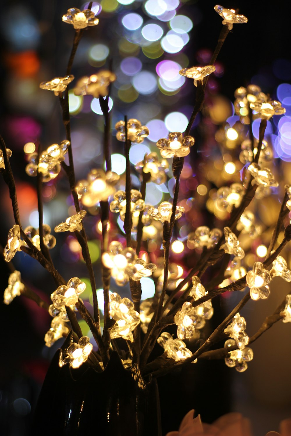 yellow flowers with red and yellow lights