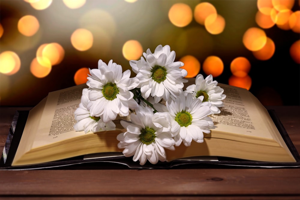 white and yellow flowers on book page