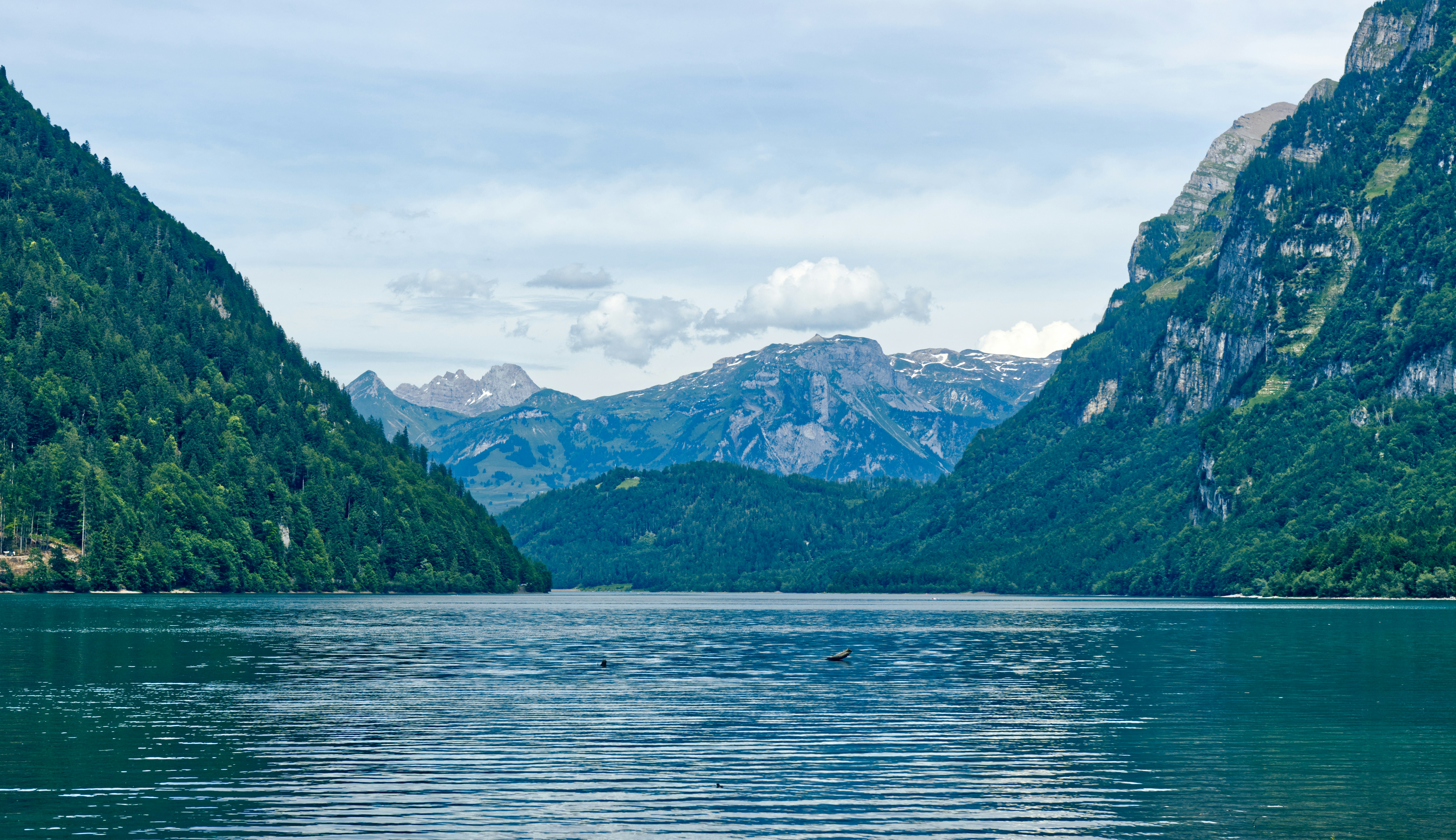 Photo by photasticlab