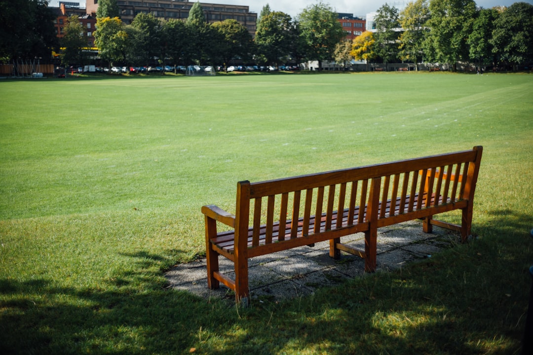 brown wooden bench on green grass field during daytime