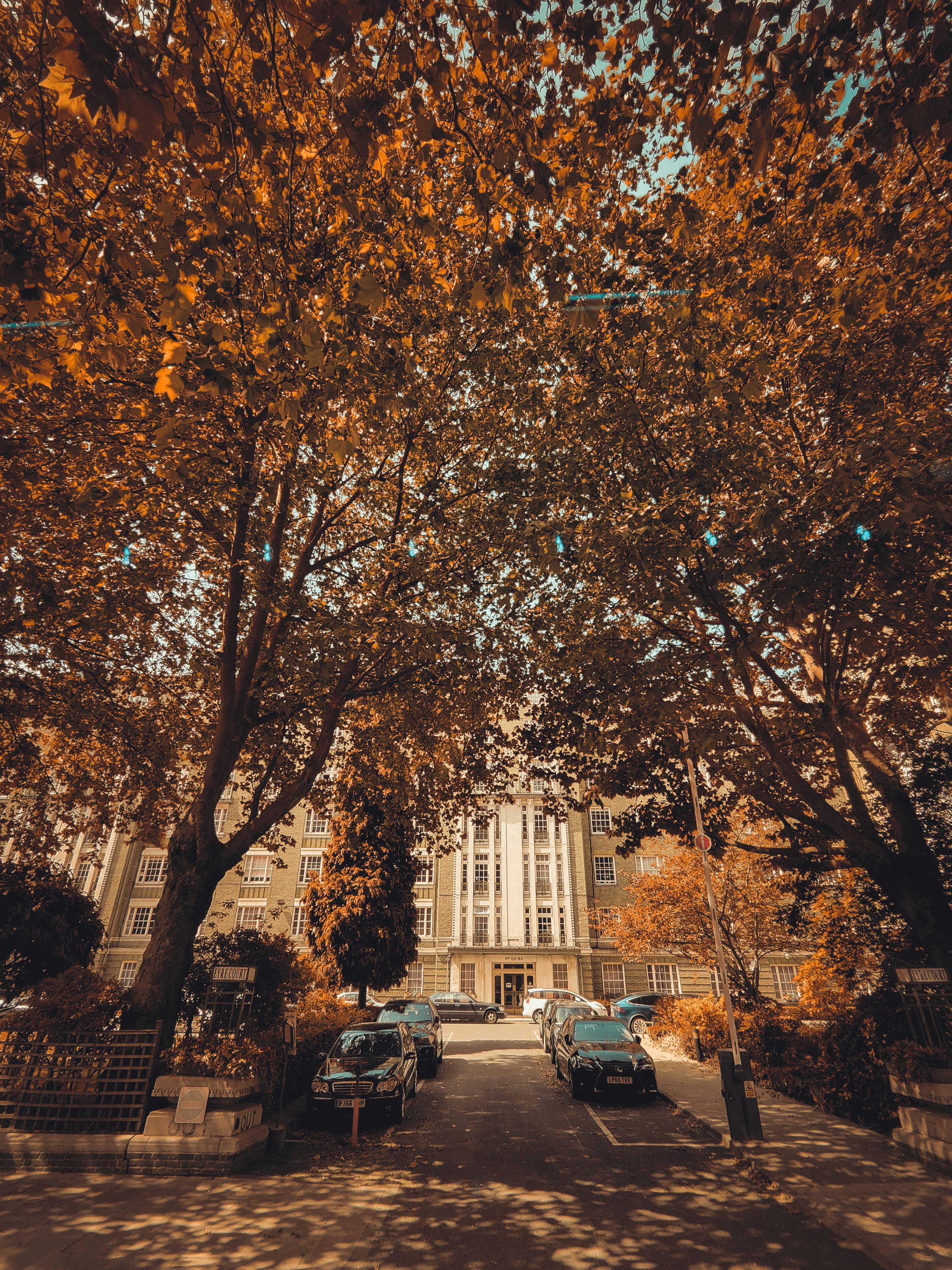 Photo by arvindkumar20