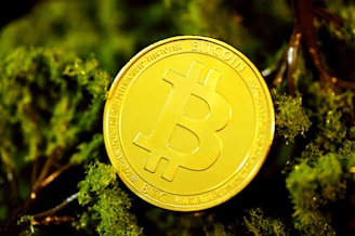 gold round coin on green grass