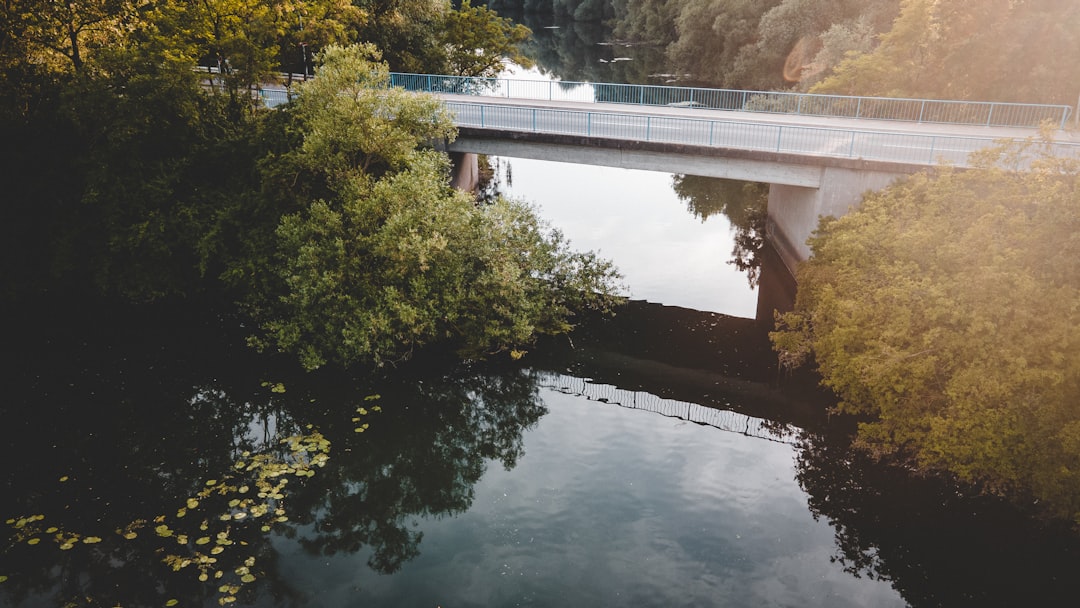 white bridge over river surrounded by trees