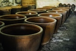 A row of large, rustic, brown ceramic pots are placed on a paved floor inside a dimly lit room. The pots are aligned with several others in the background. Some pottery items with a different shape and size are also visible in the background.