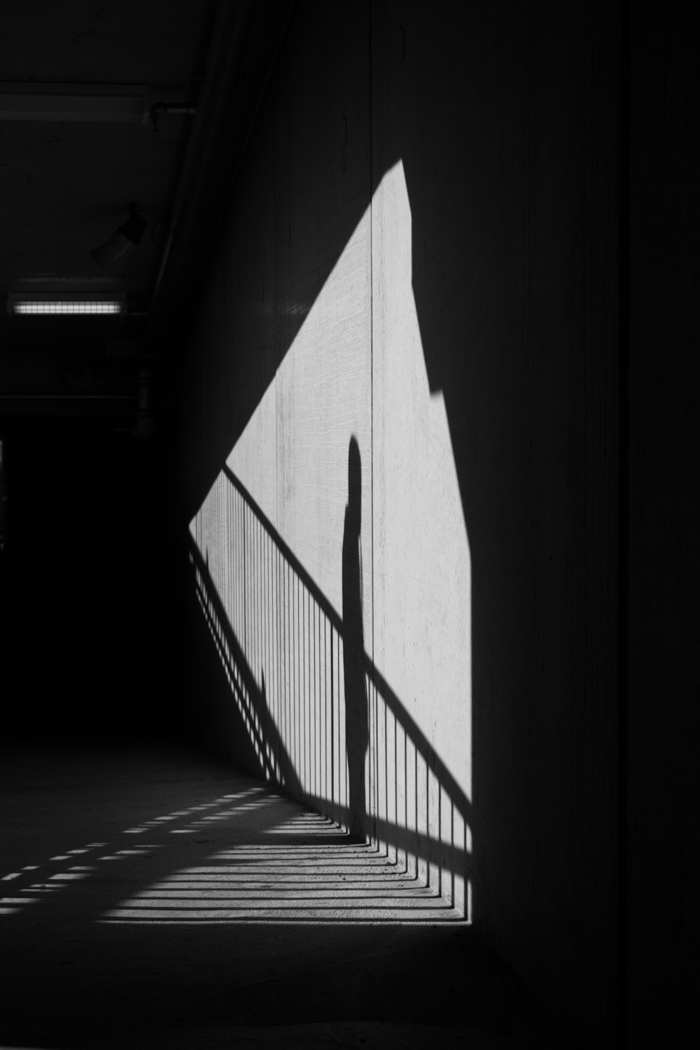 grayscale photo of a hallway