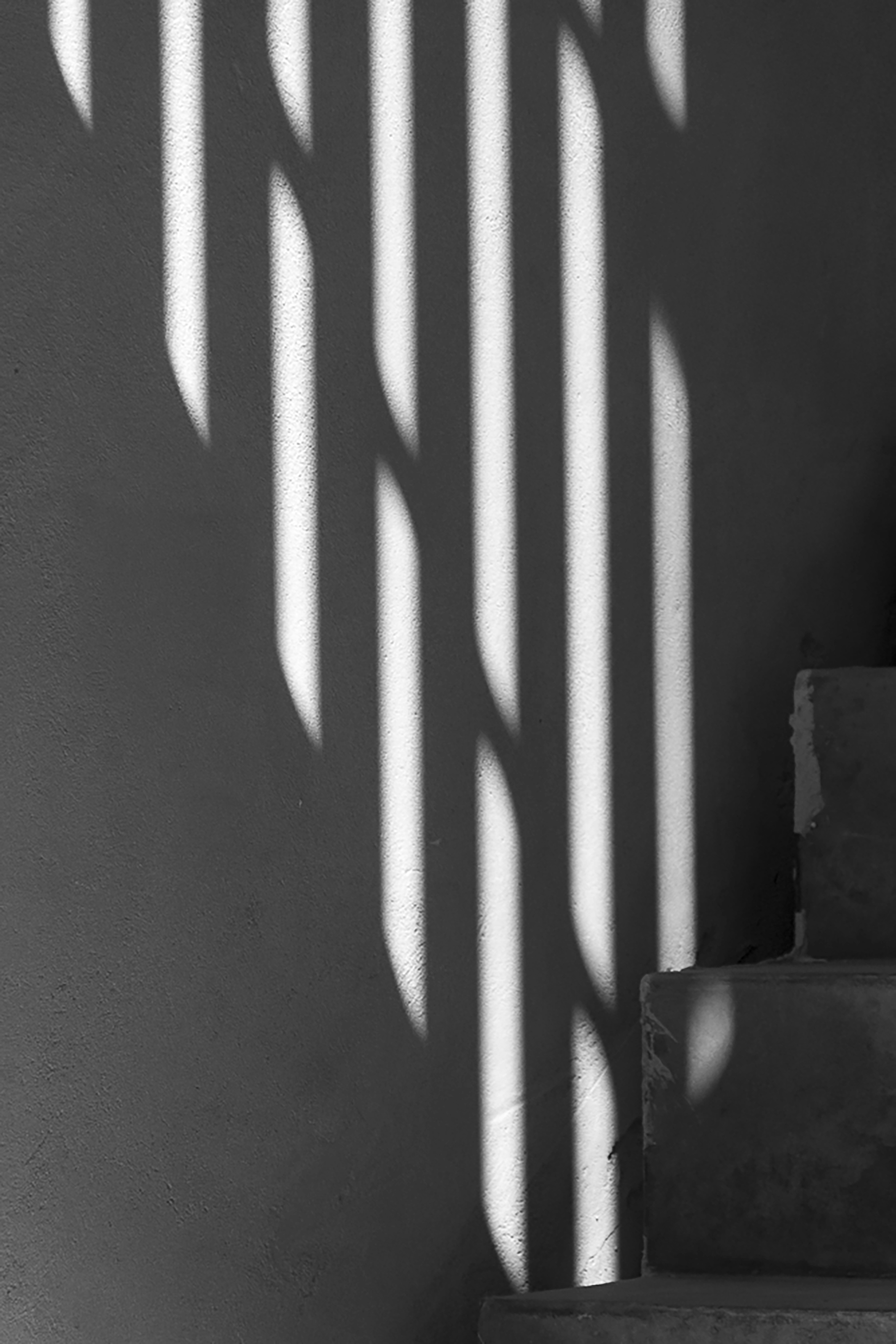 Photo by phoebeschauwvliege