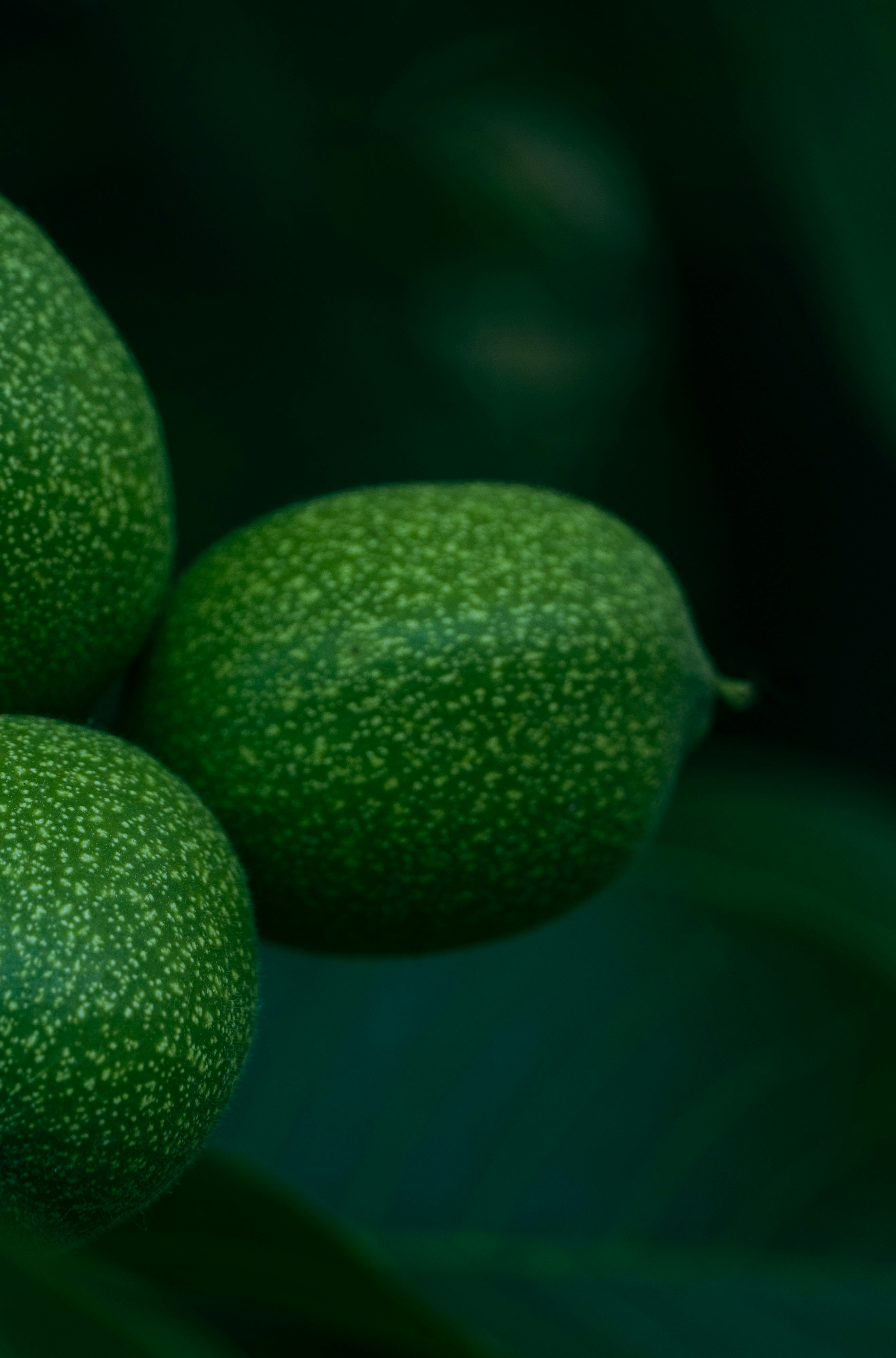 green fruit with water droplets