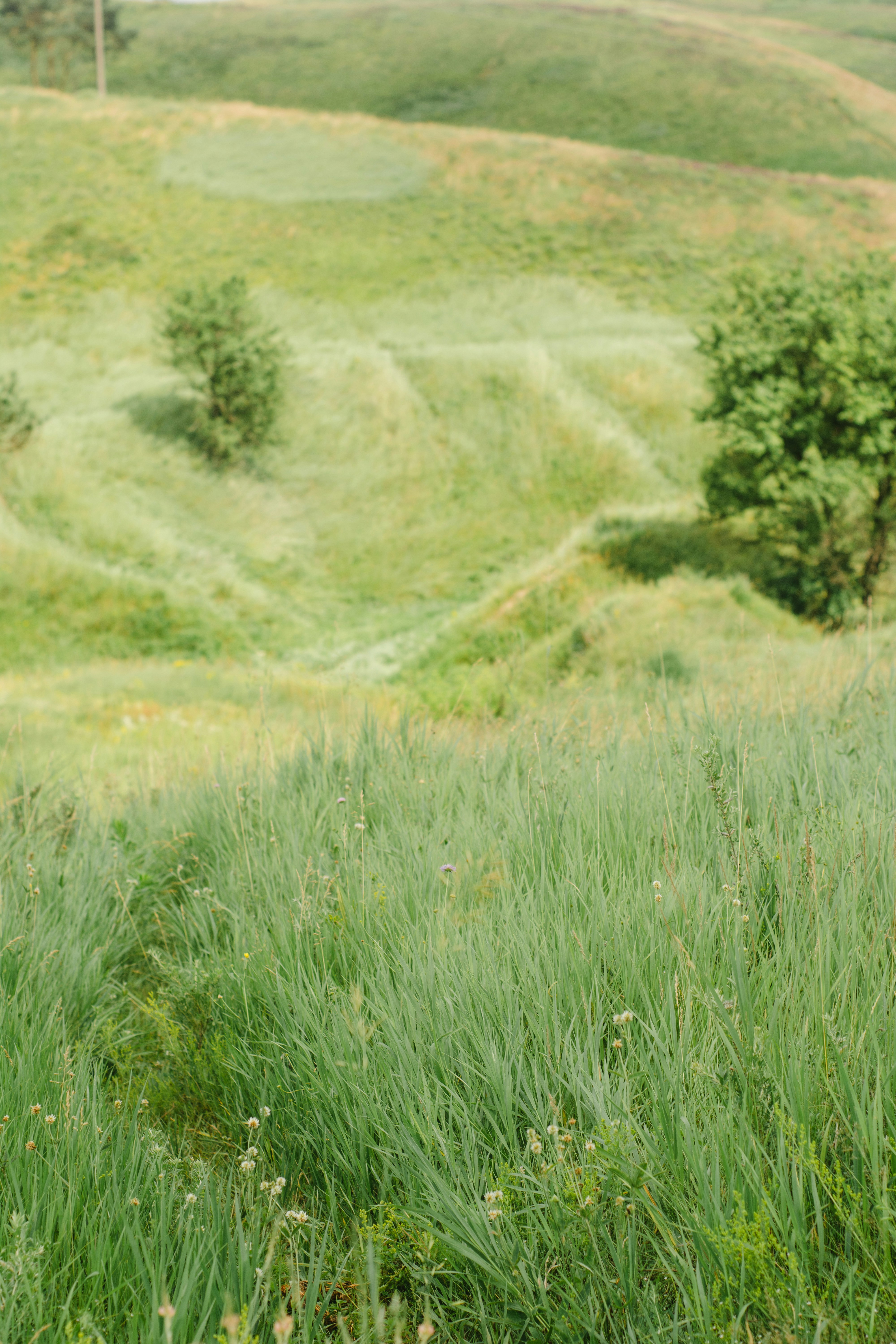 Photo by eugenivy_now