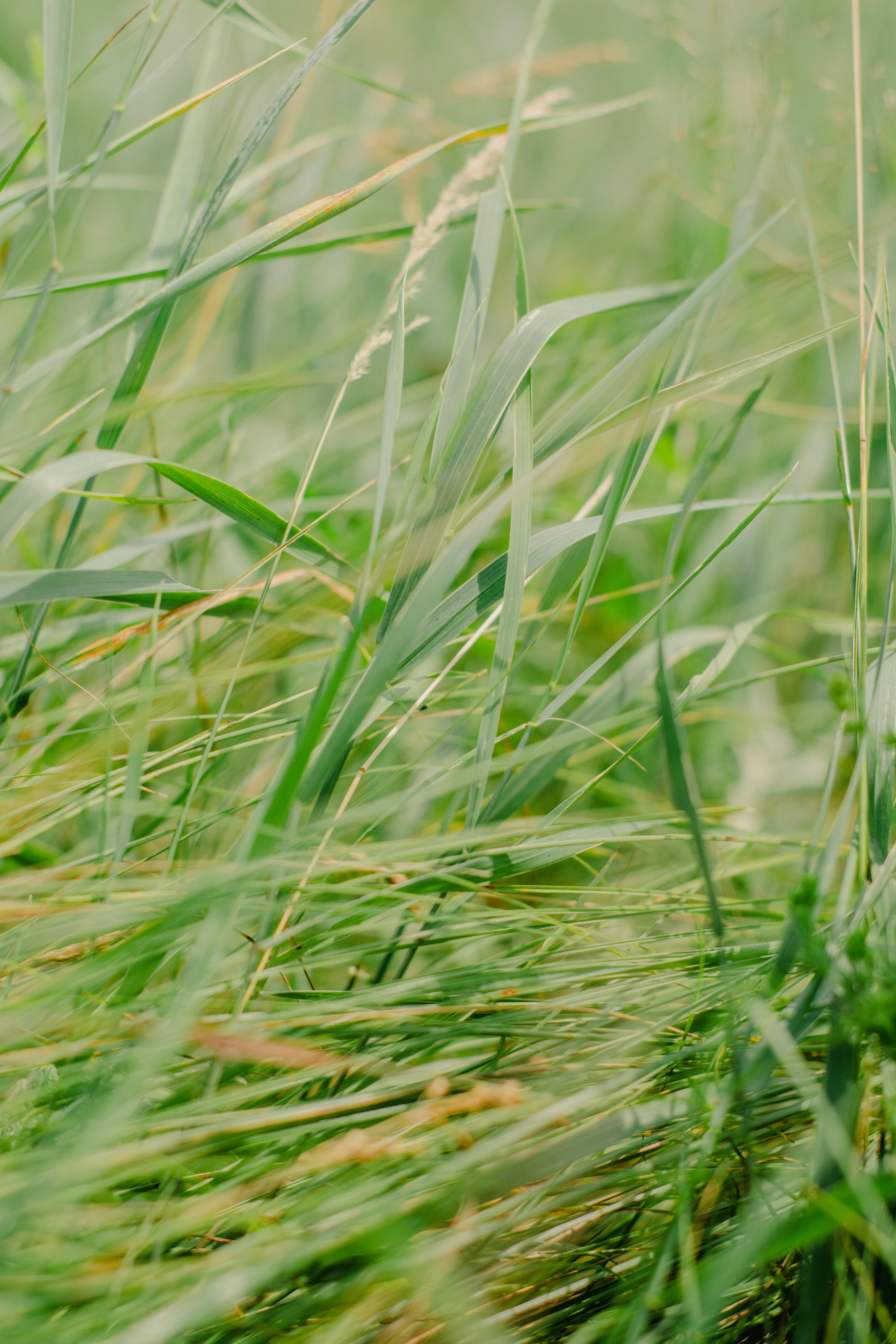 Photo by eugenivy_now