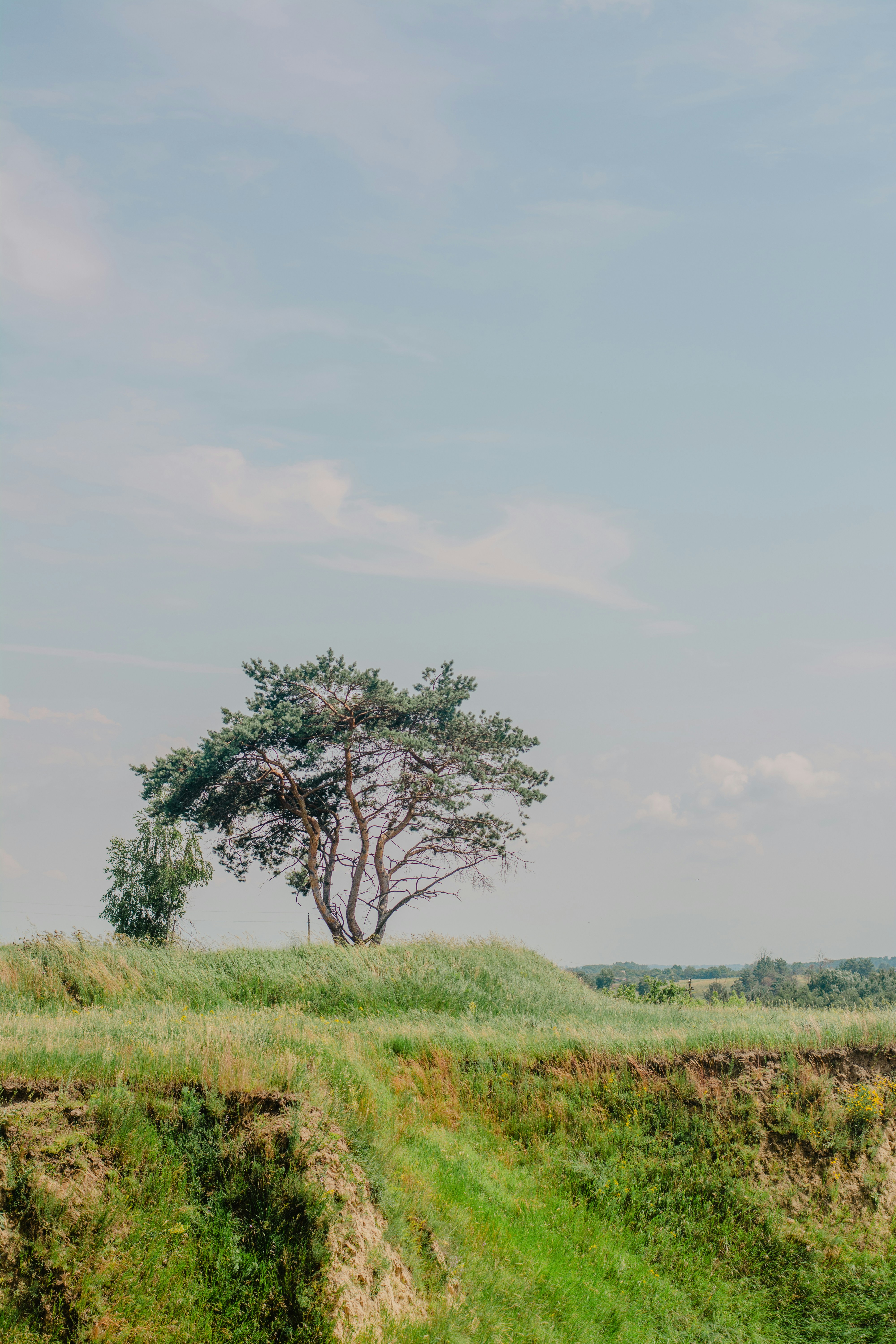 Photo by eugenivy_now