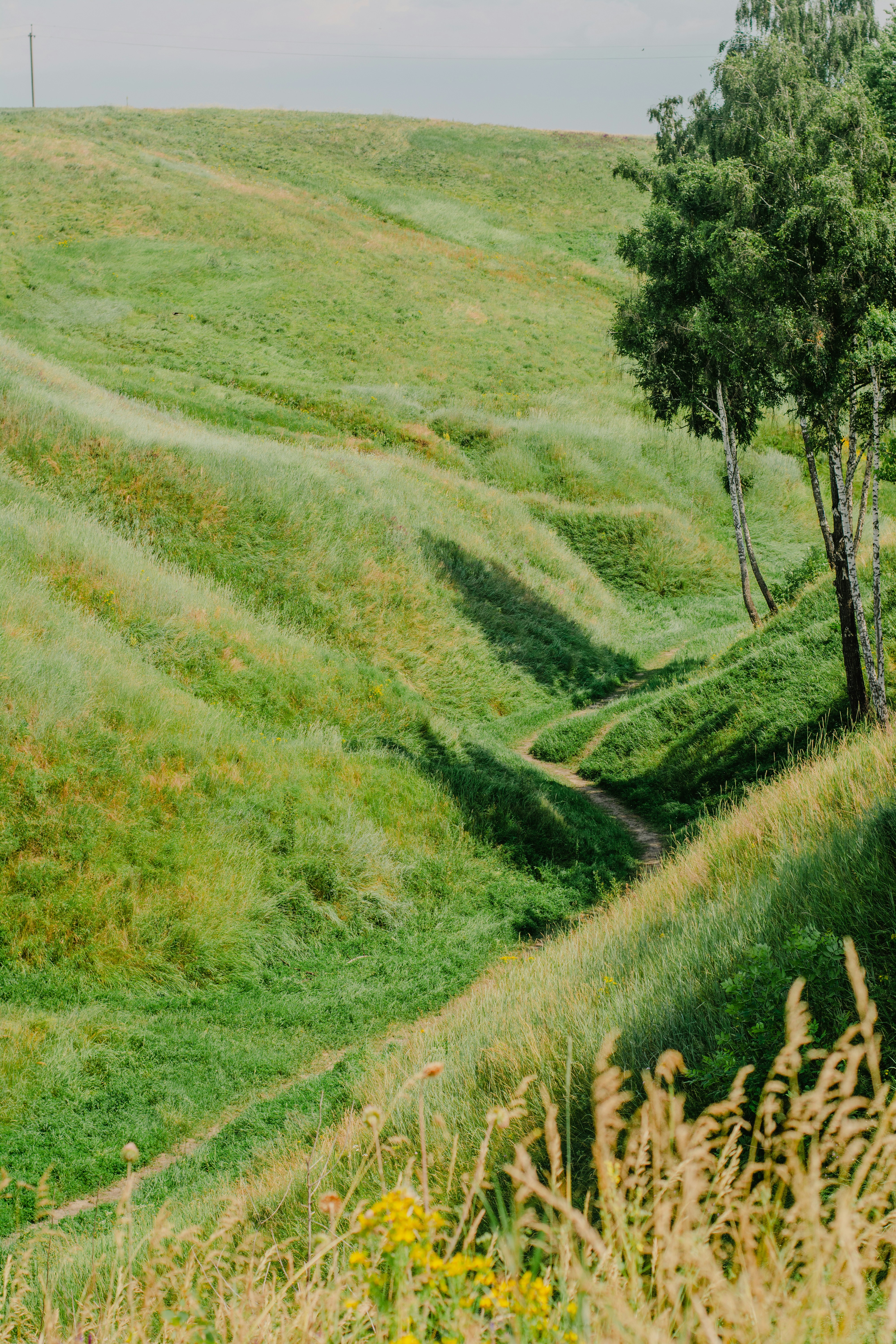 Photo by eugenivy_now