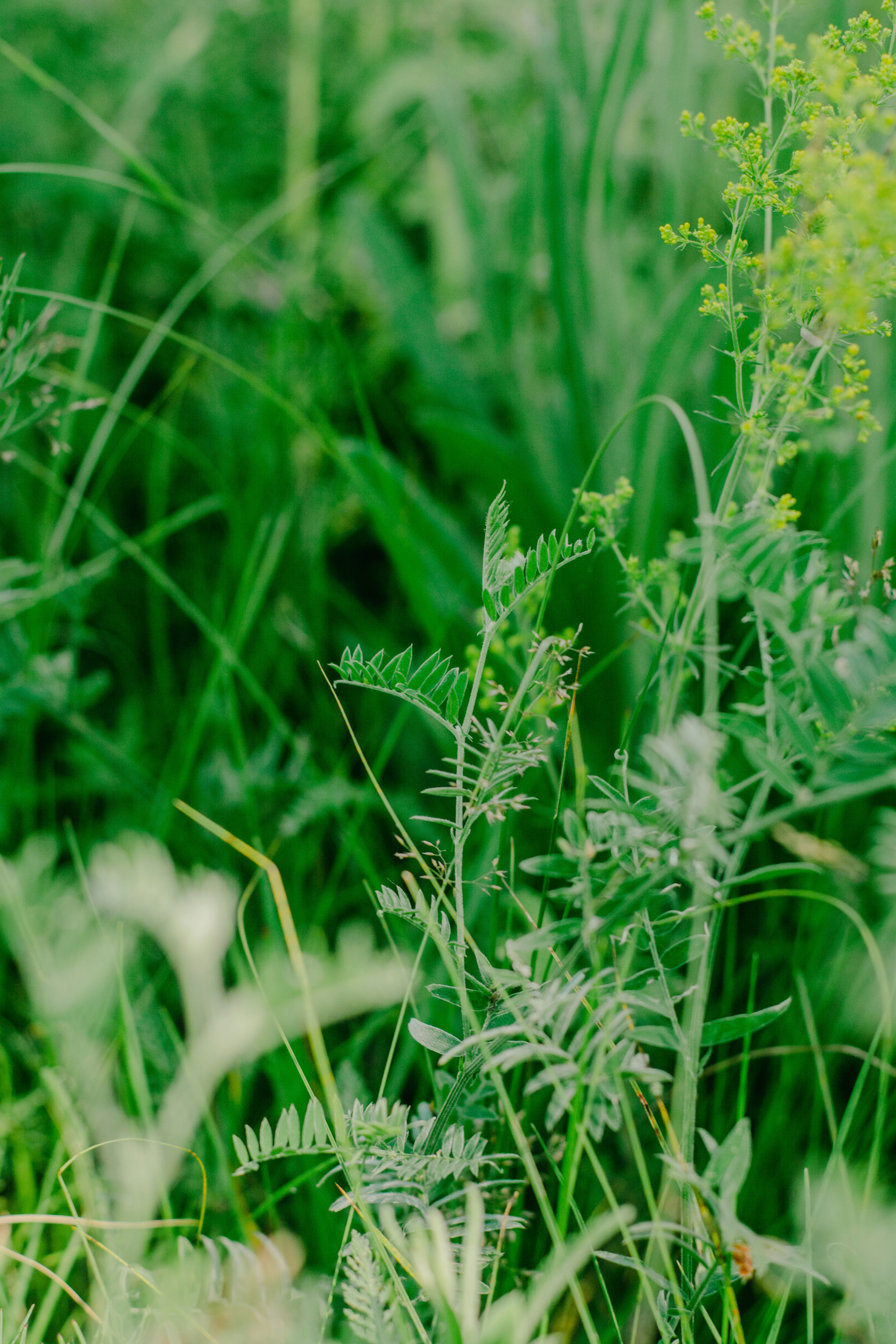 Photo by eugenivy_now