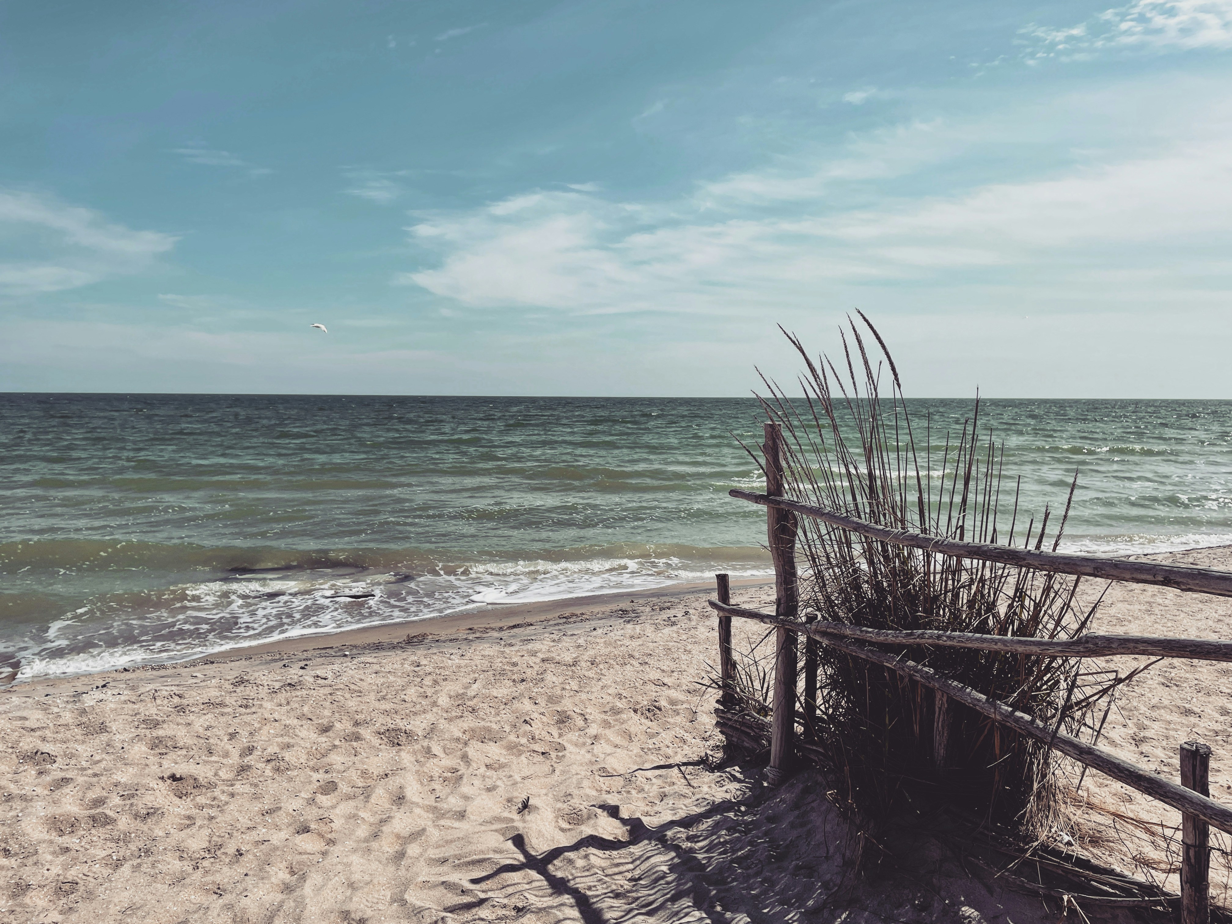 brown wooden fence on beach during daytime, 
