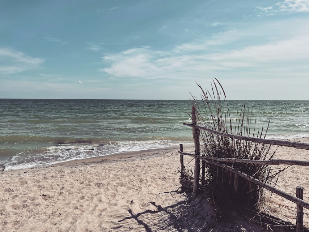 brown wooden fence on beach during daytime