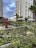 A modern urban garden with lush greenery, including various plants and small palm trees, is set against the backdrop of tall, contemporary apartment buildings. The sky is partly cloudy, creating a contrasting atmosphere between the natural elements and urban structures.