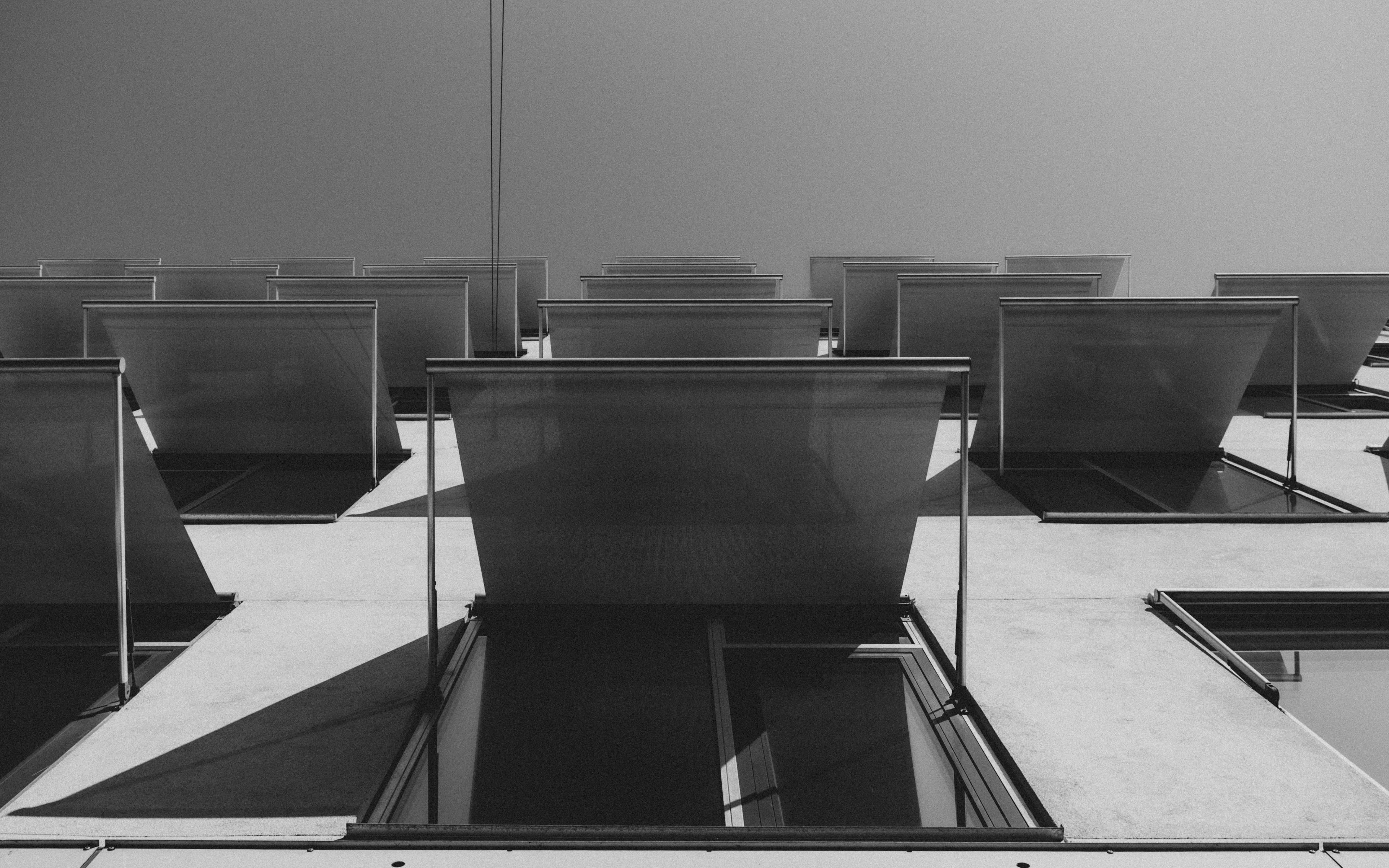 Photo by moisamihai092