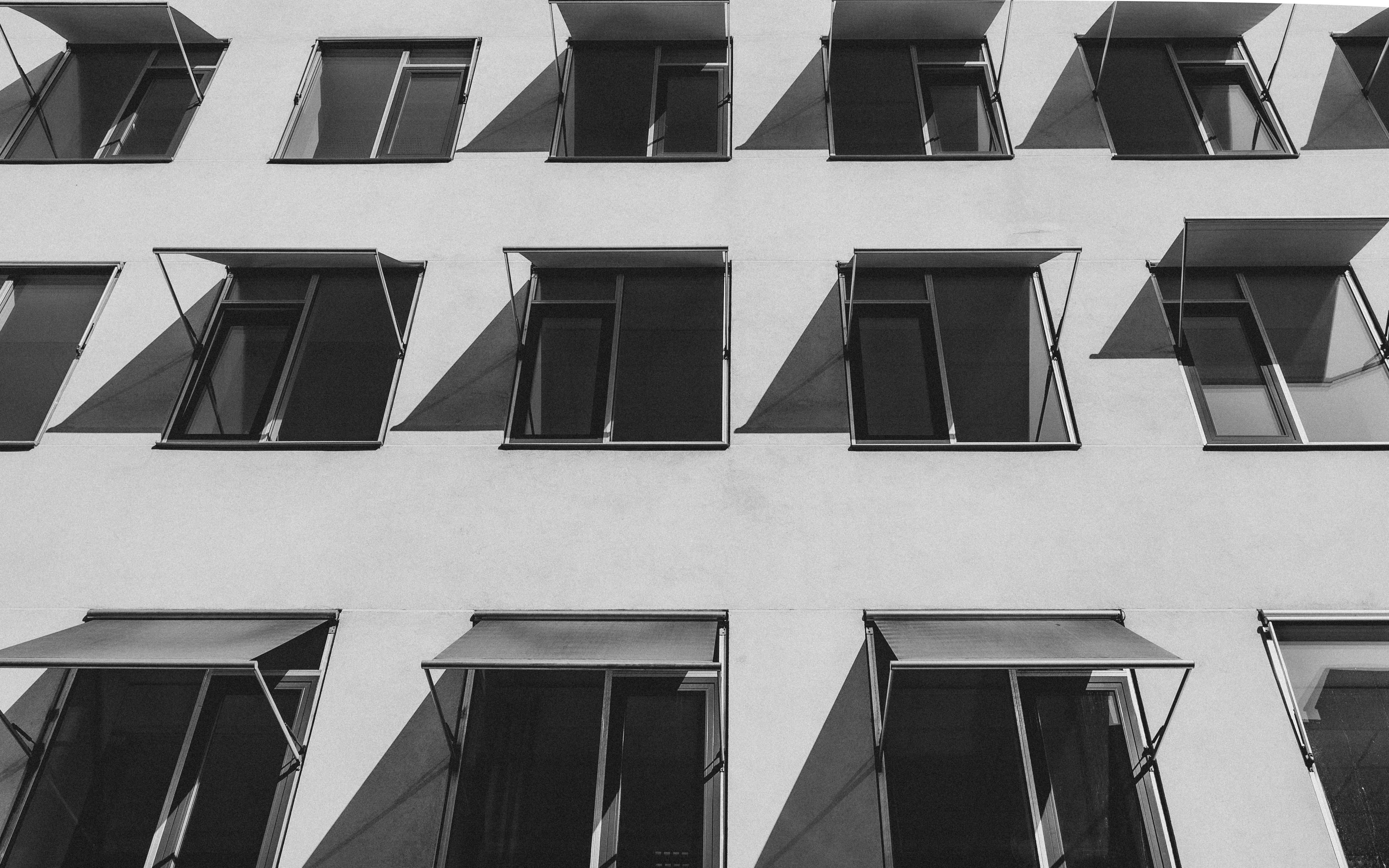 Photo by moisamihai092