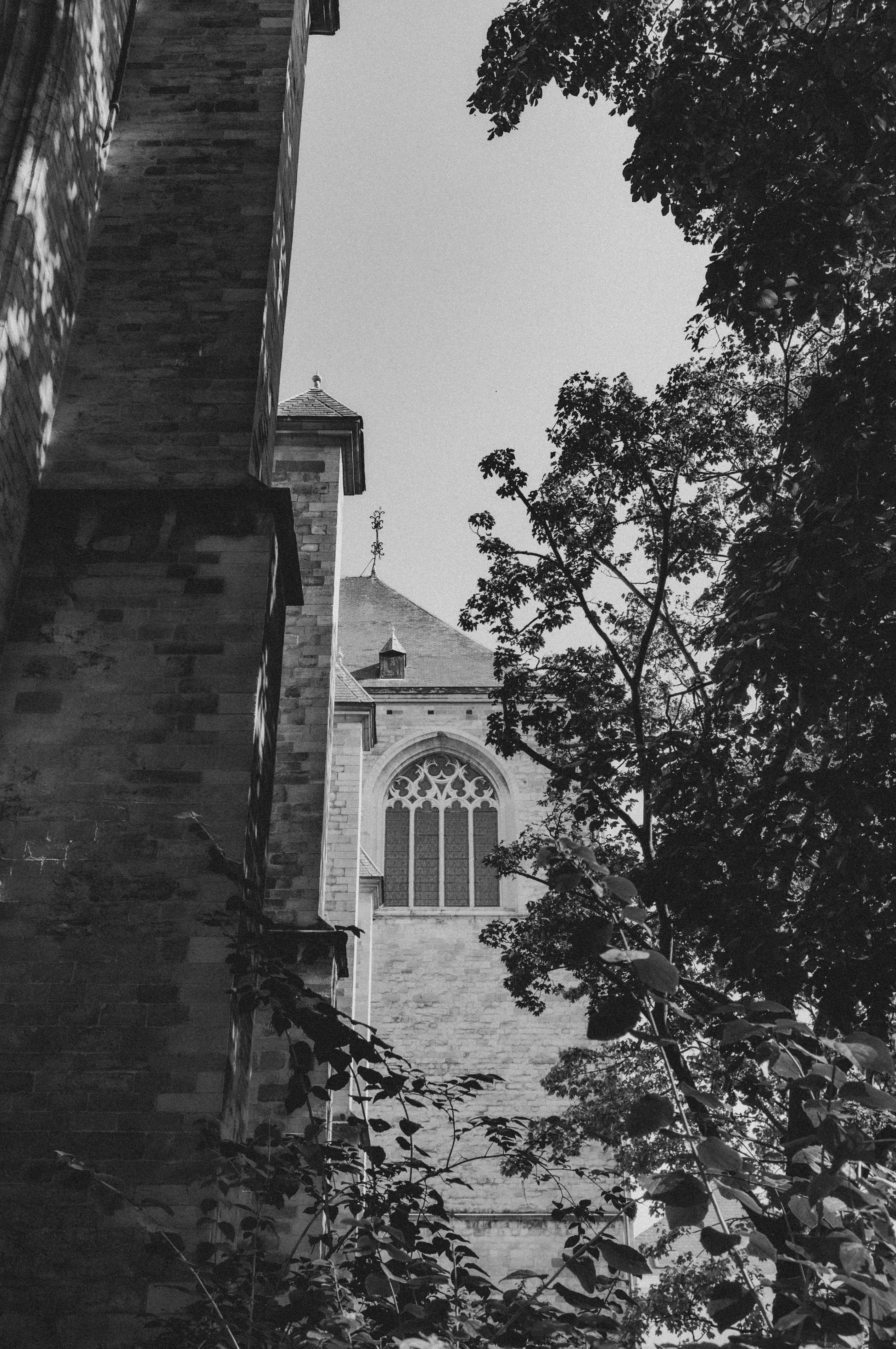 Photo by moisamihai092