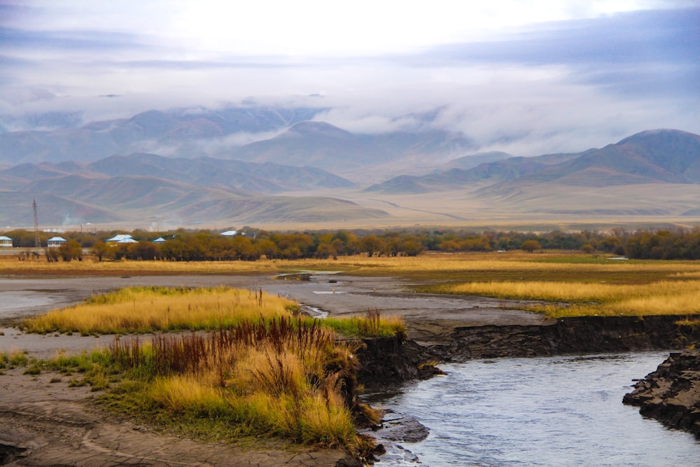 green grass field beside river during daytime