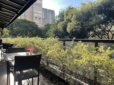 A sunlit outdoor cafe scene with pink flowers in bloom and a coffee cup on the table.