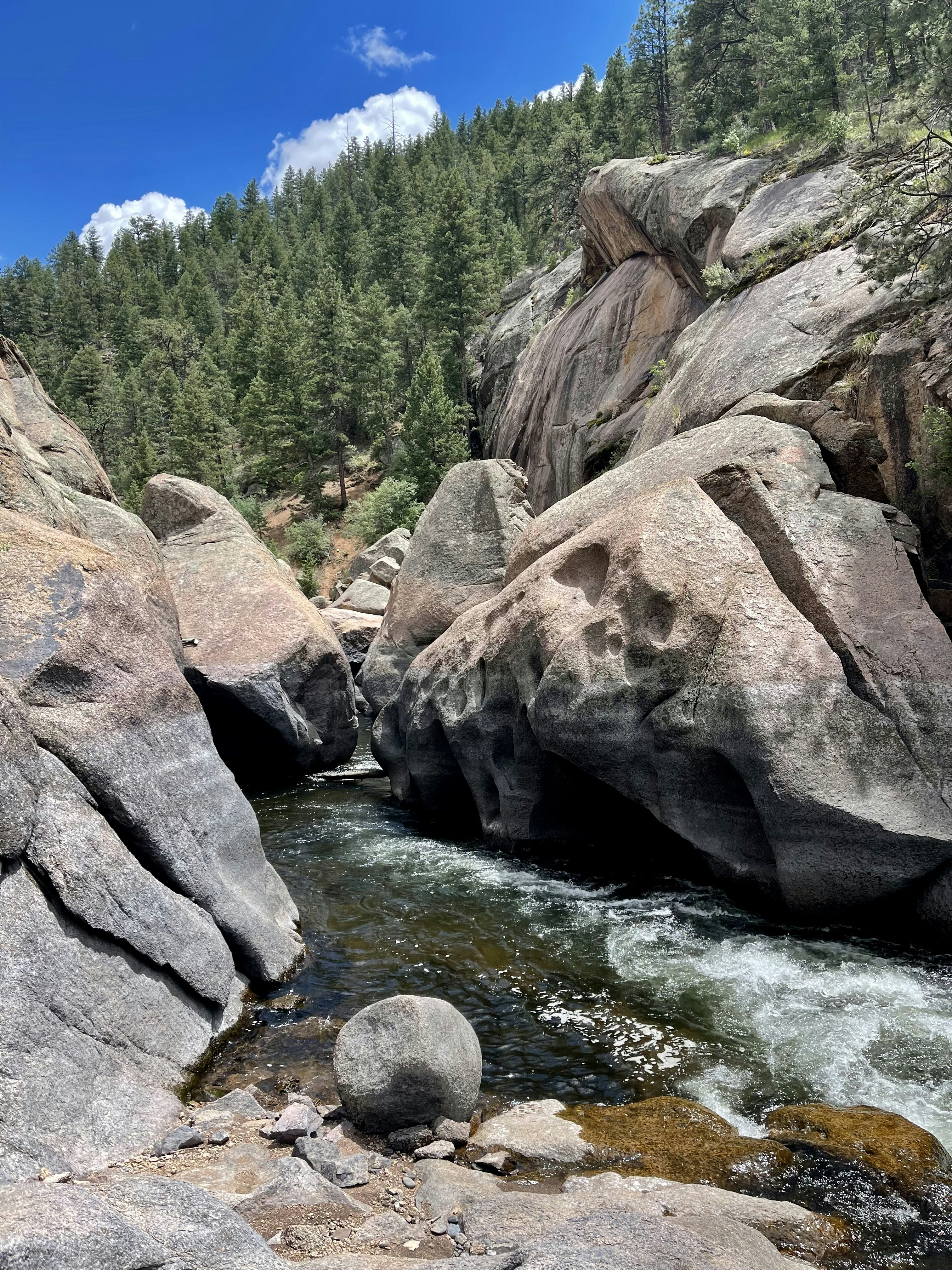 Photo by laitonbarbo