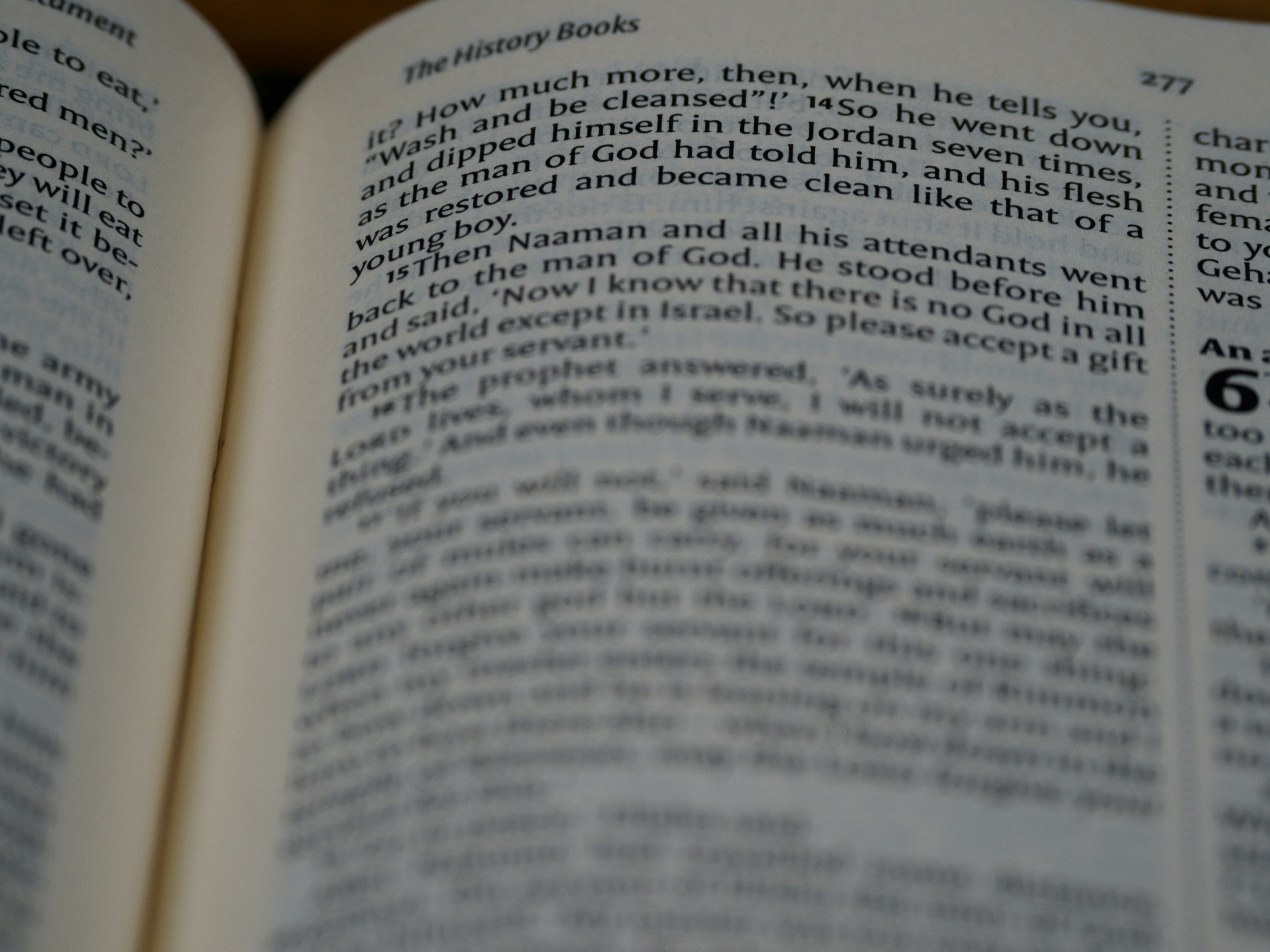 Photo by brett_jordan