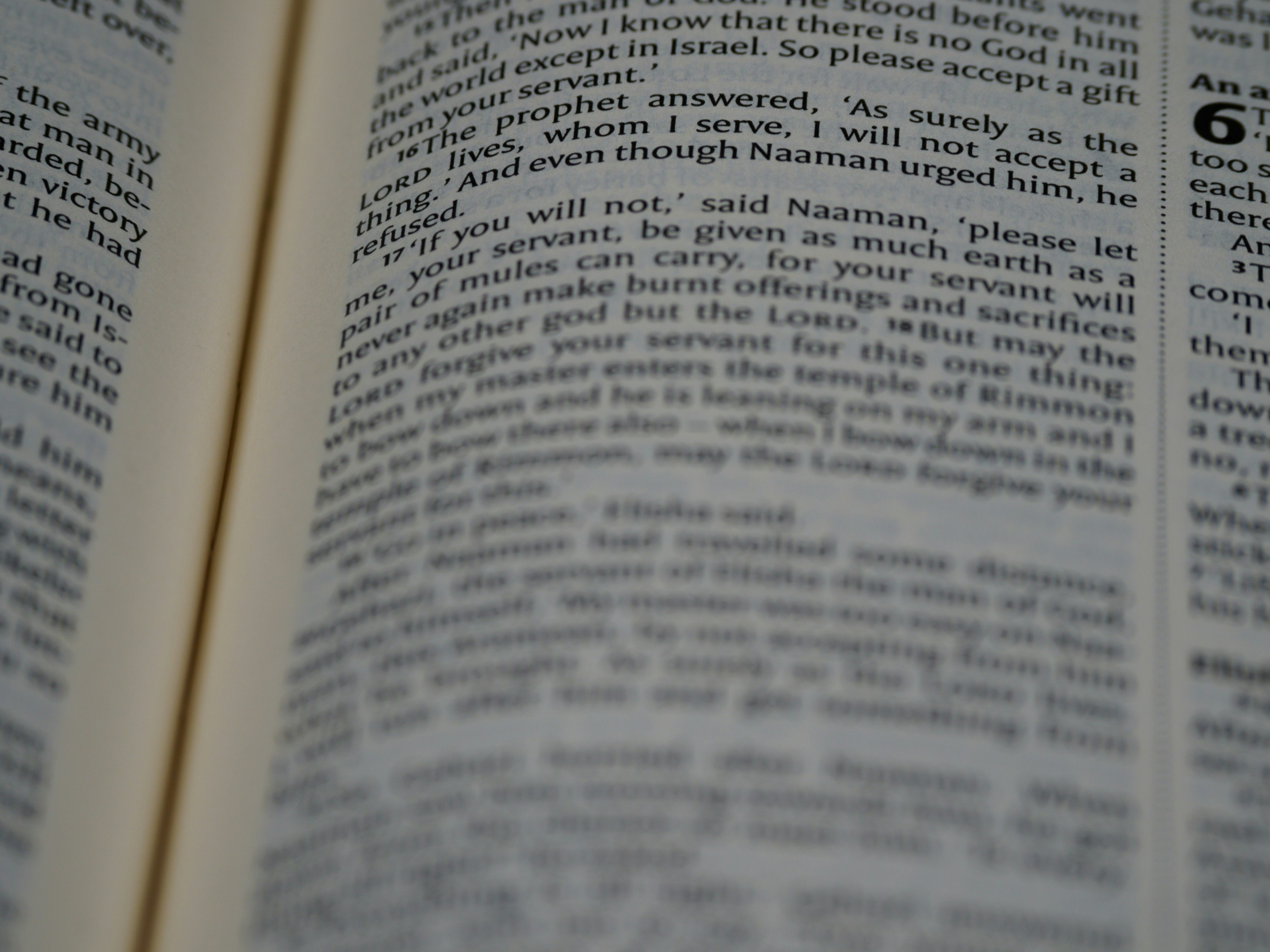 Photo by brett_jordan