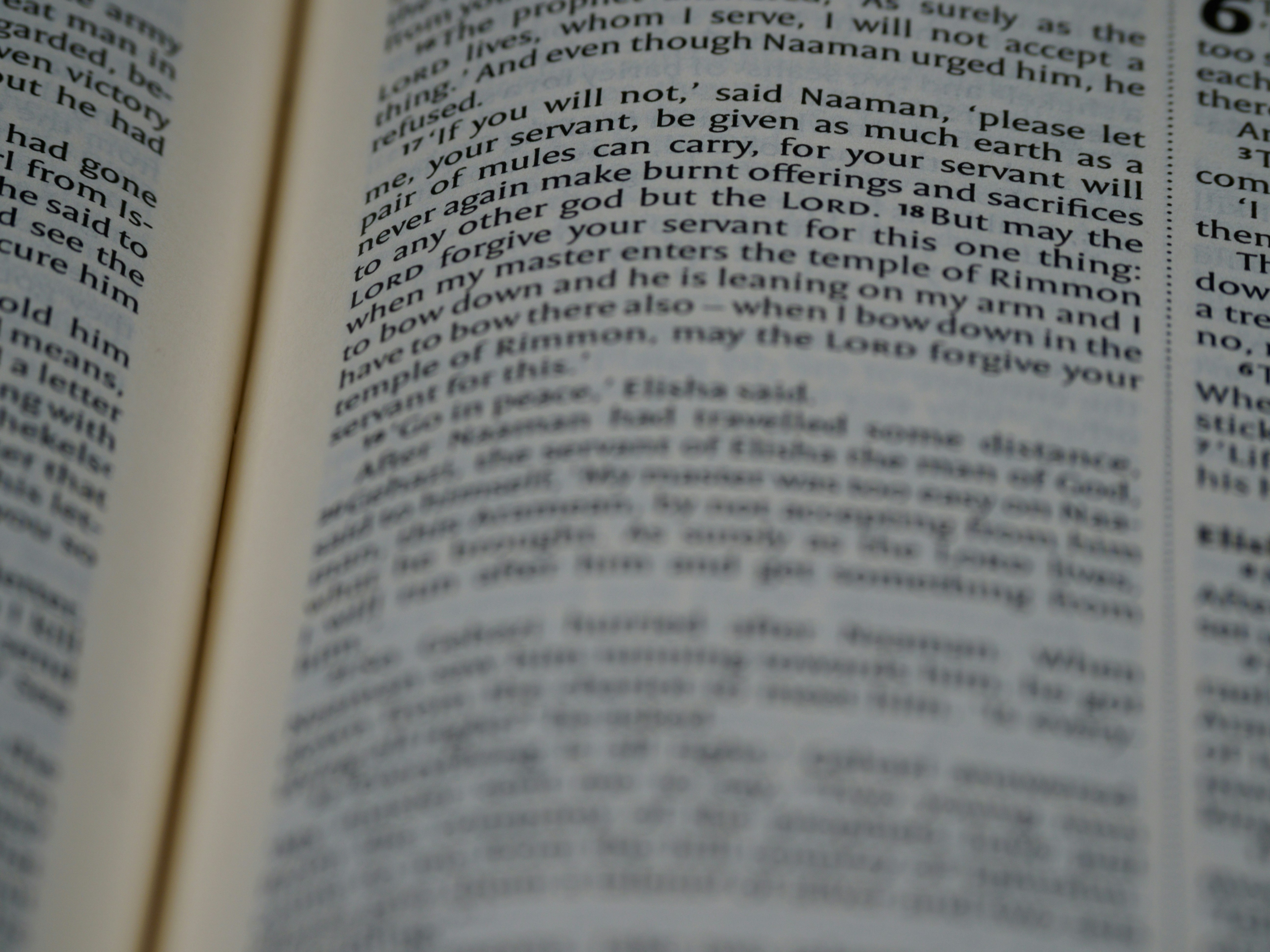 Photo by brett_jordan