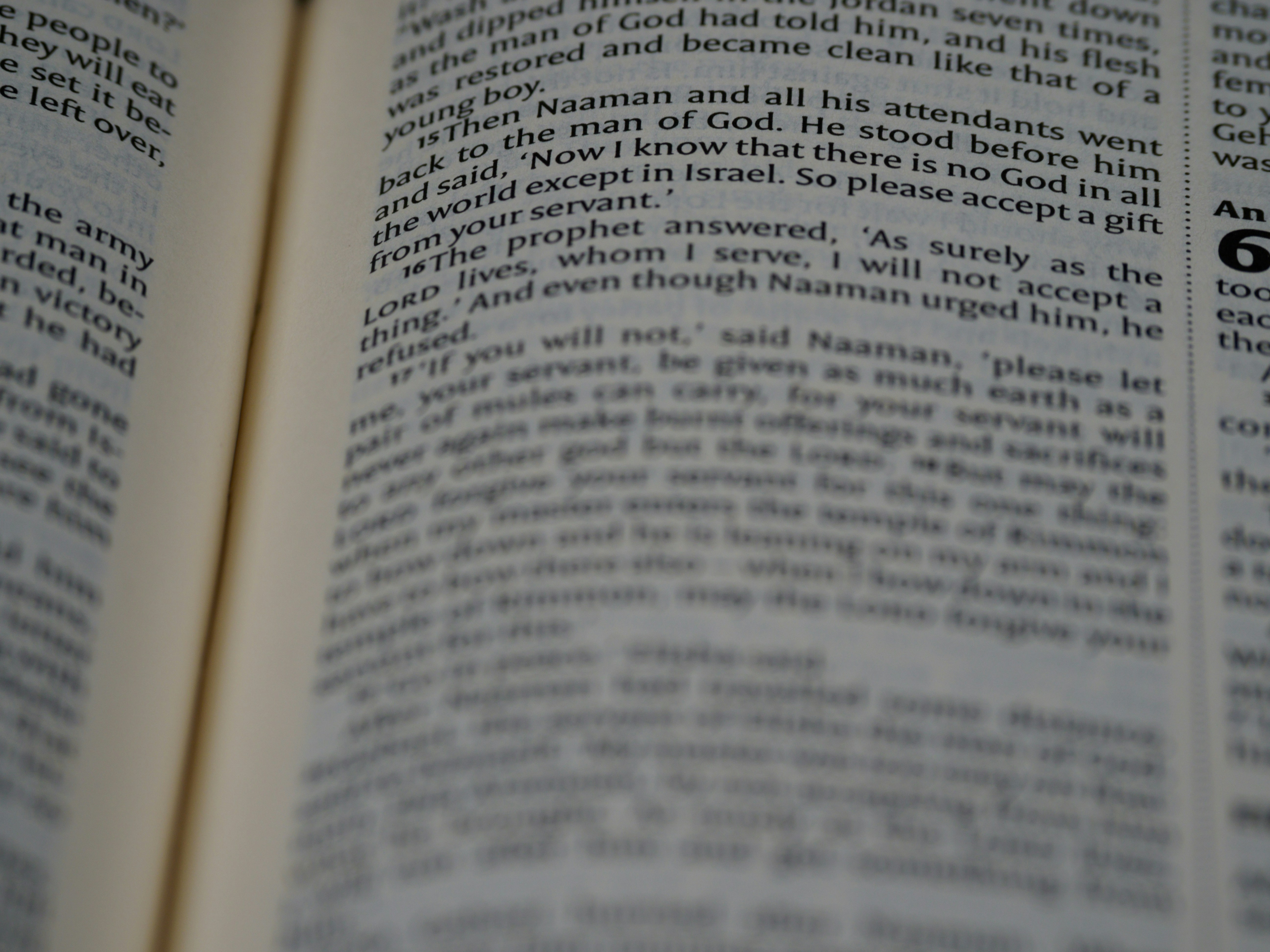 Photo by brett_jordan