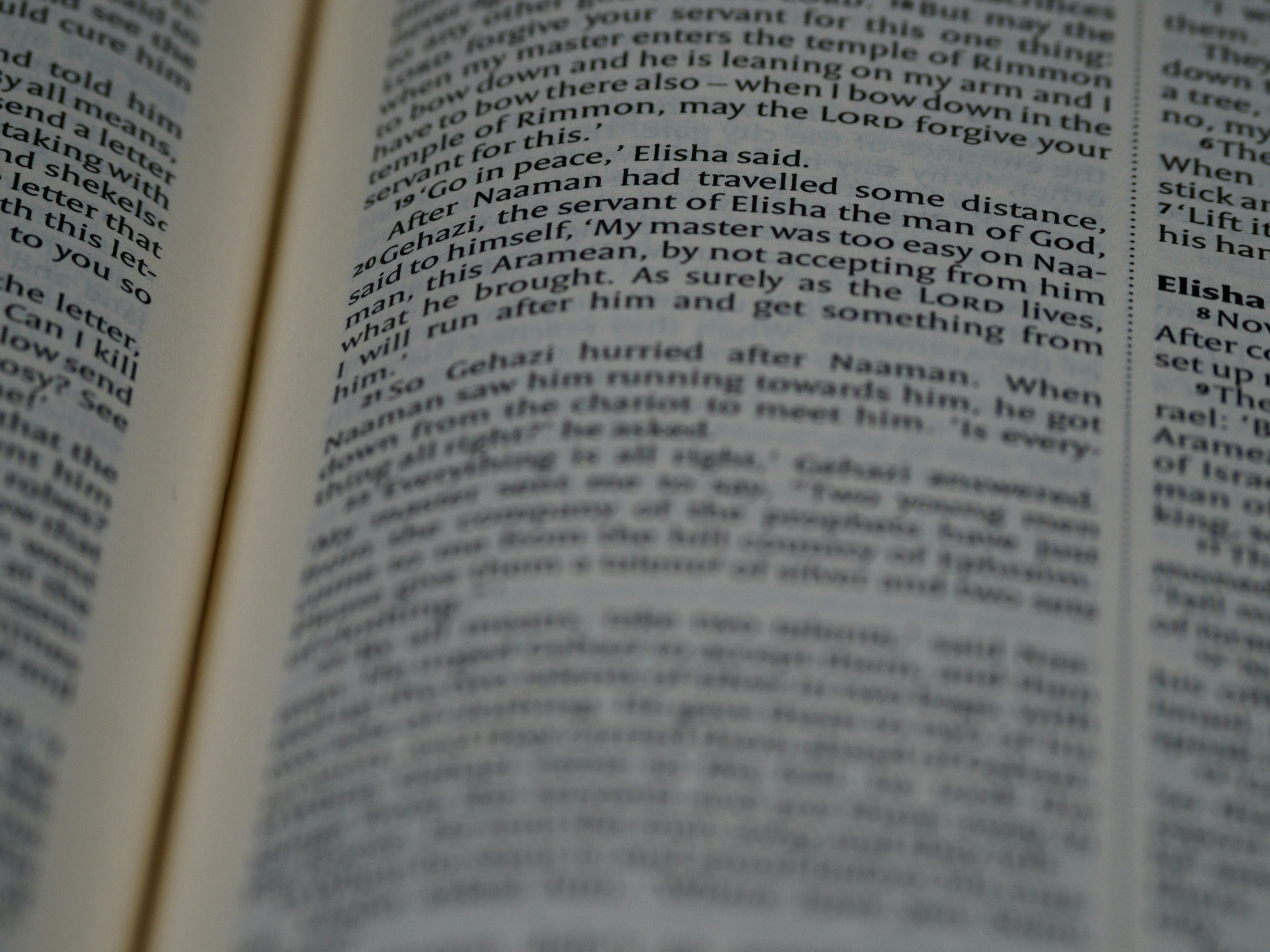 Photo by brett_jordan