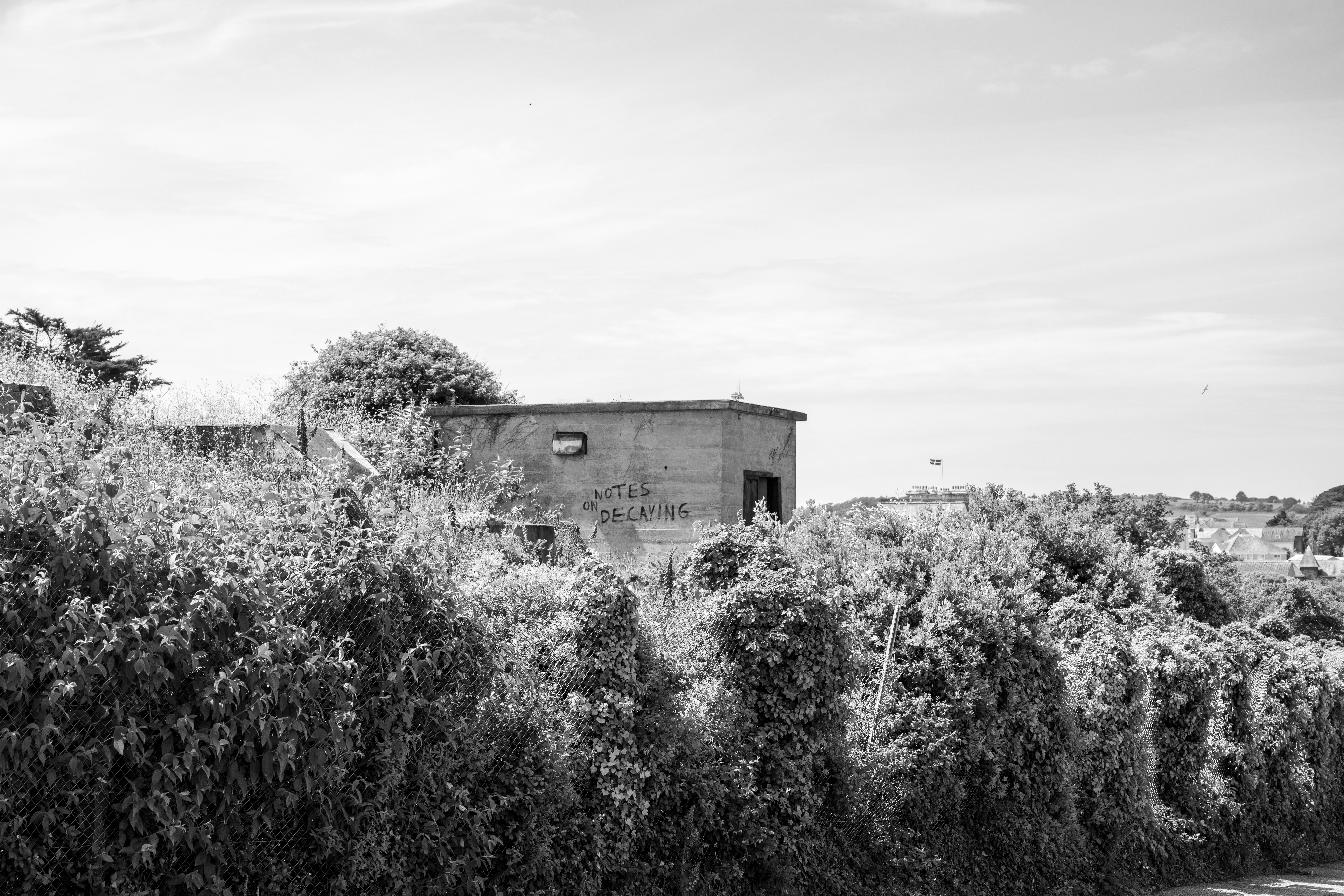 Photo by aurelietack