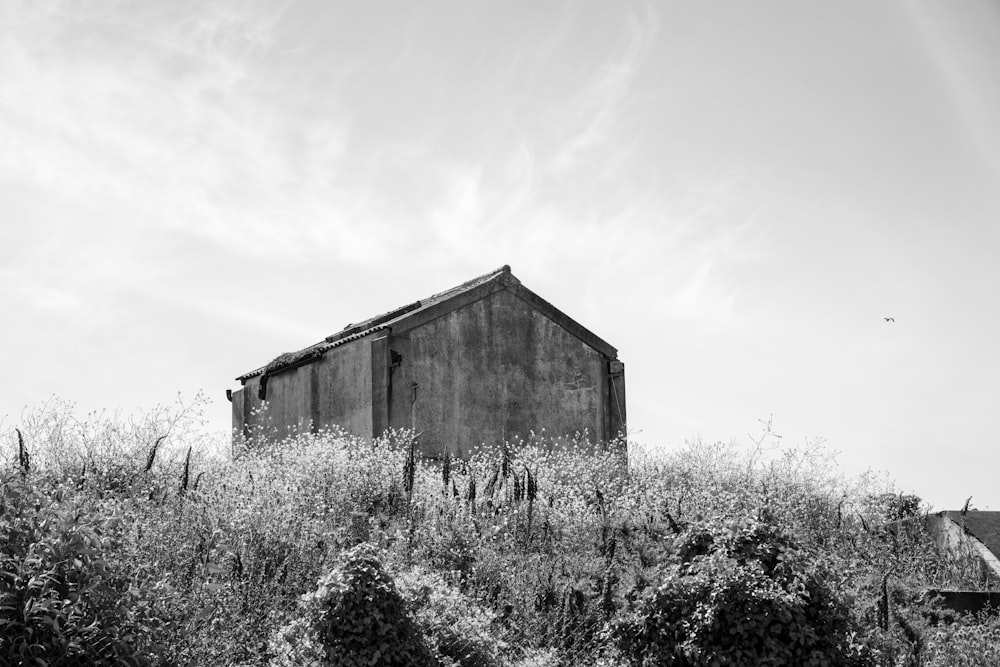 grayscale photo of wooden house in the middle of grass field